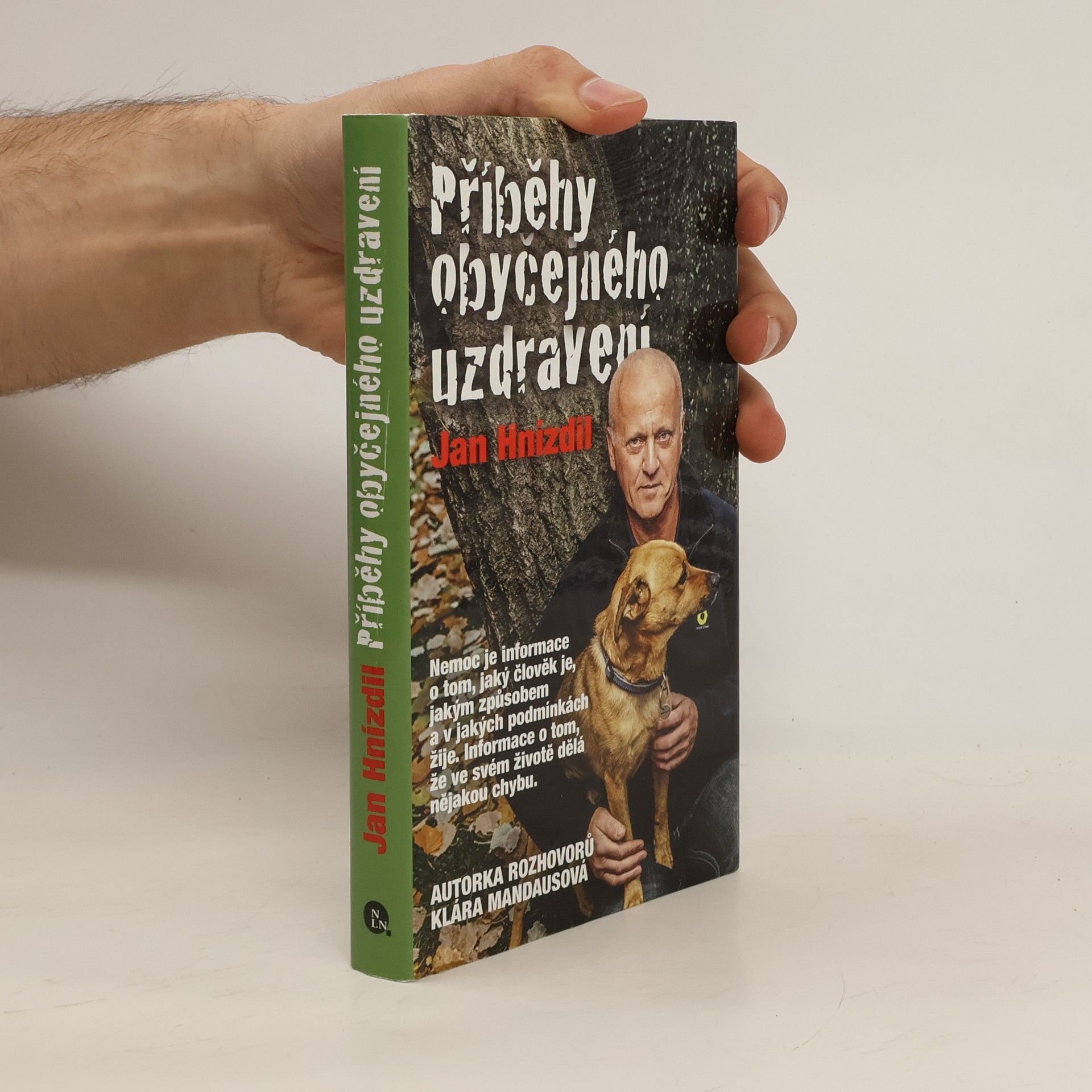 Příběhy obyčejného uzdravení