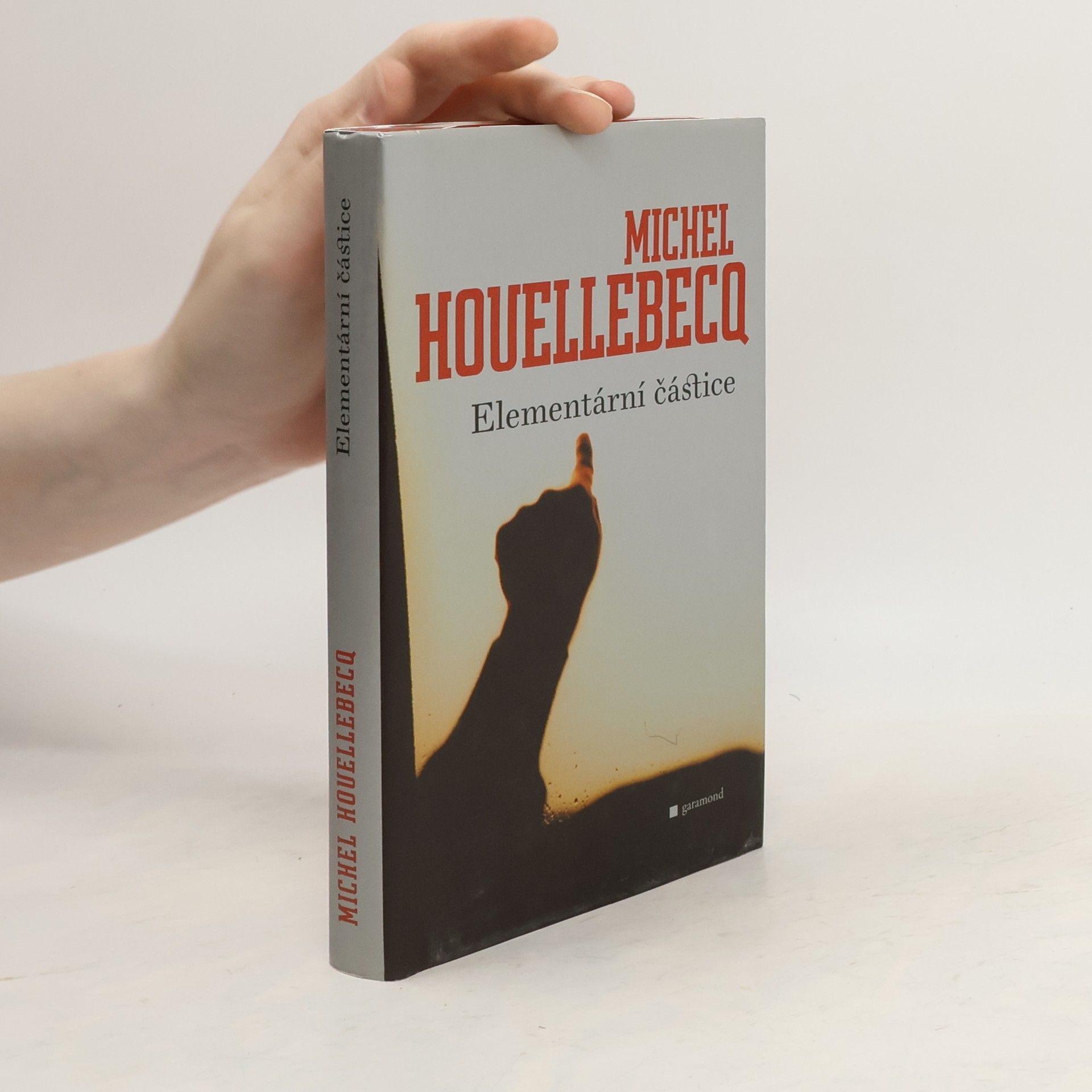 Michel Houellebecq Elementární částice