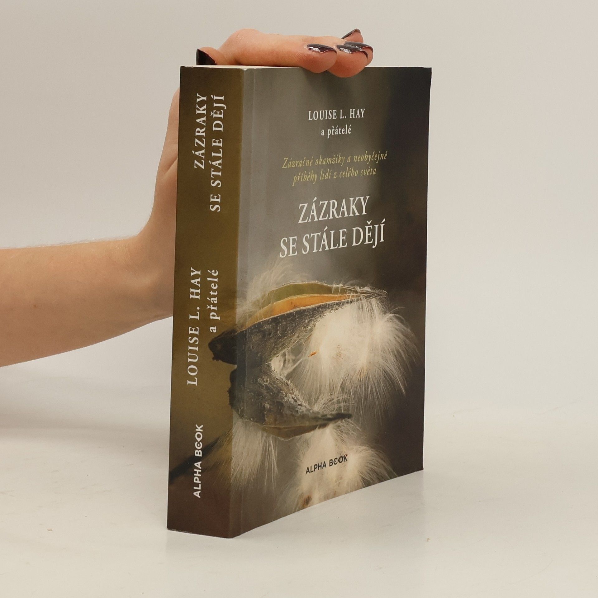 Zázraky se stále dějí : zázračné okamžiky a neobyčejné příběhy lidí z celého světa