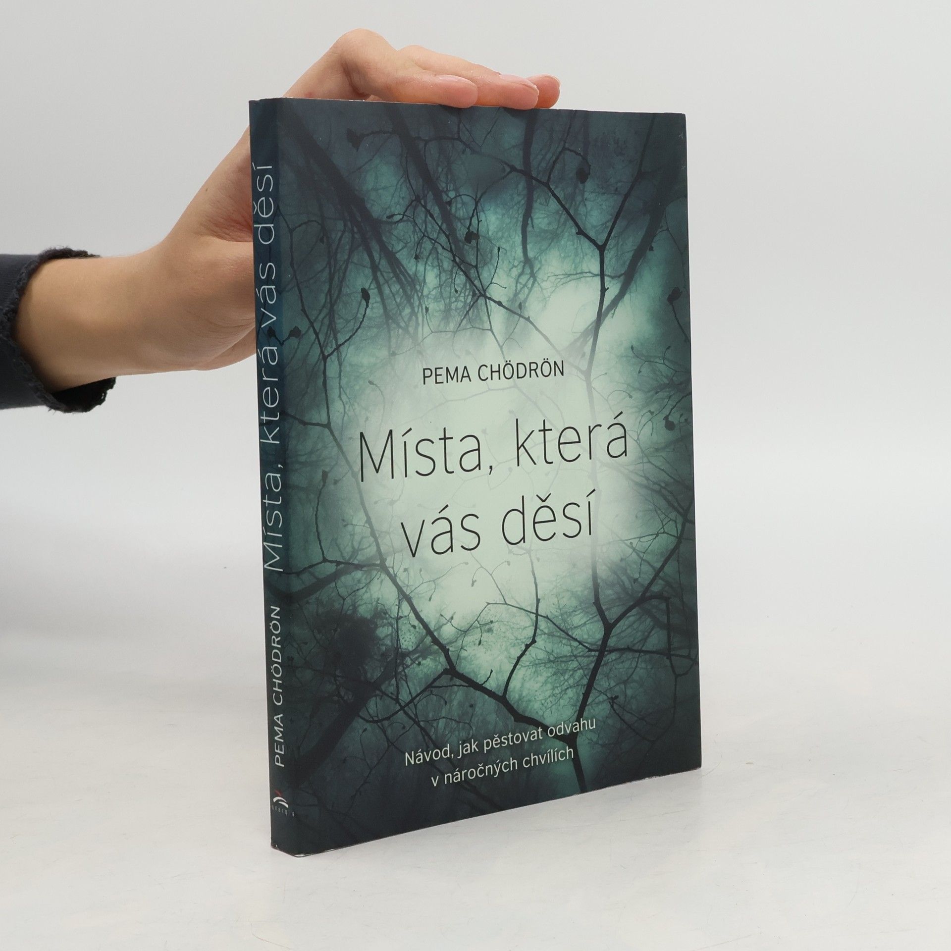 Pema Chödrön Místa, která vás děsí