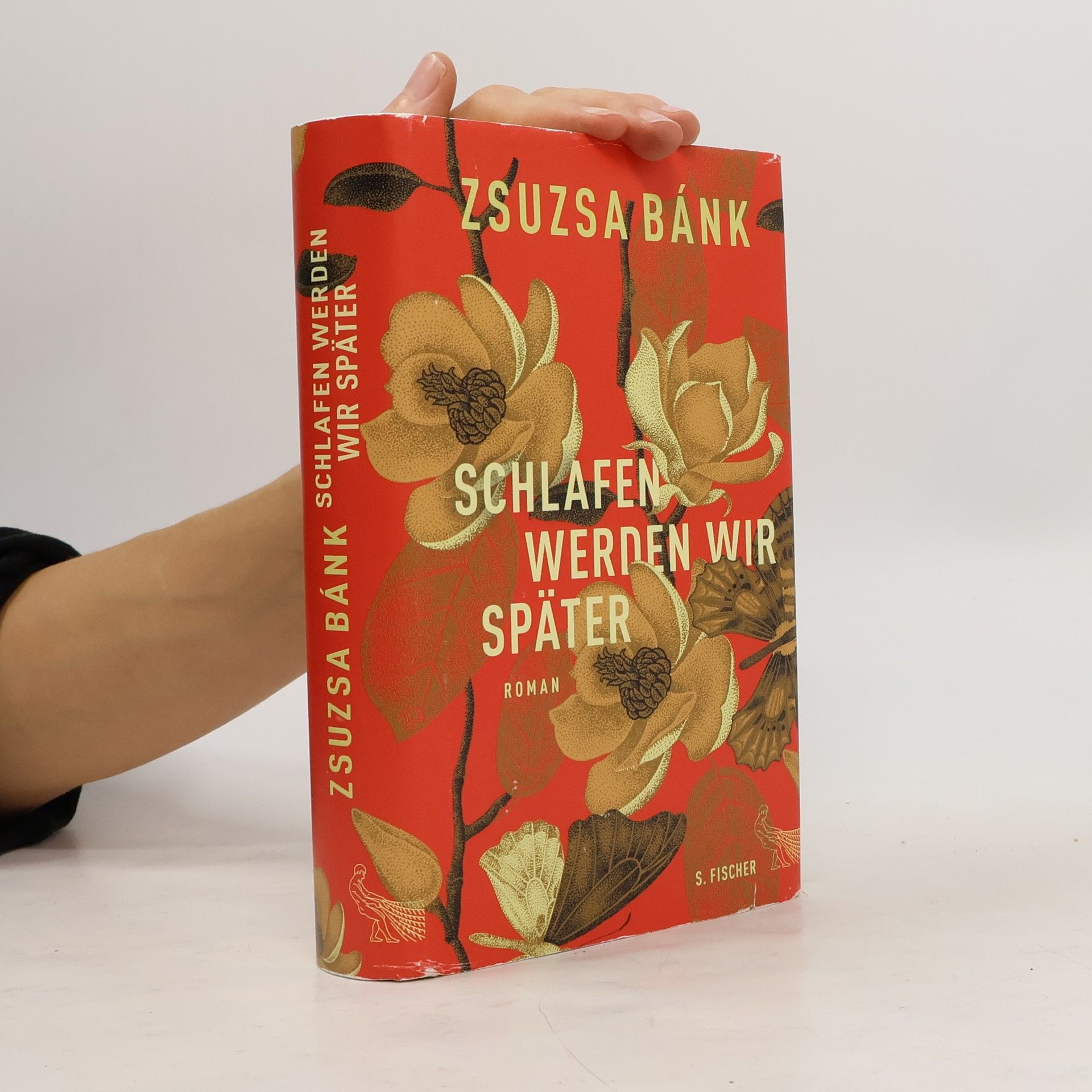 Zsuzsa Bánk Schlafen werden wir später