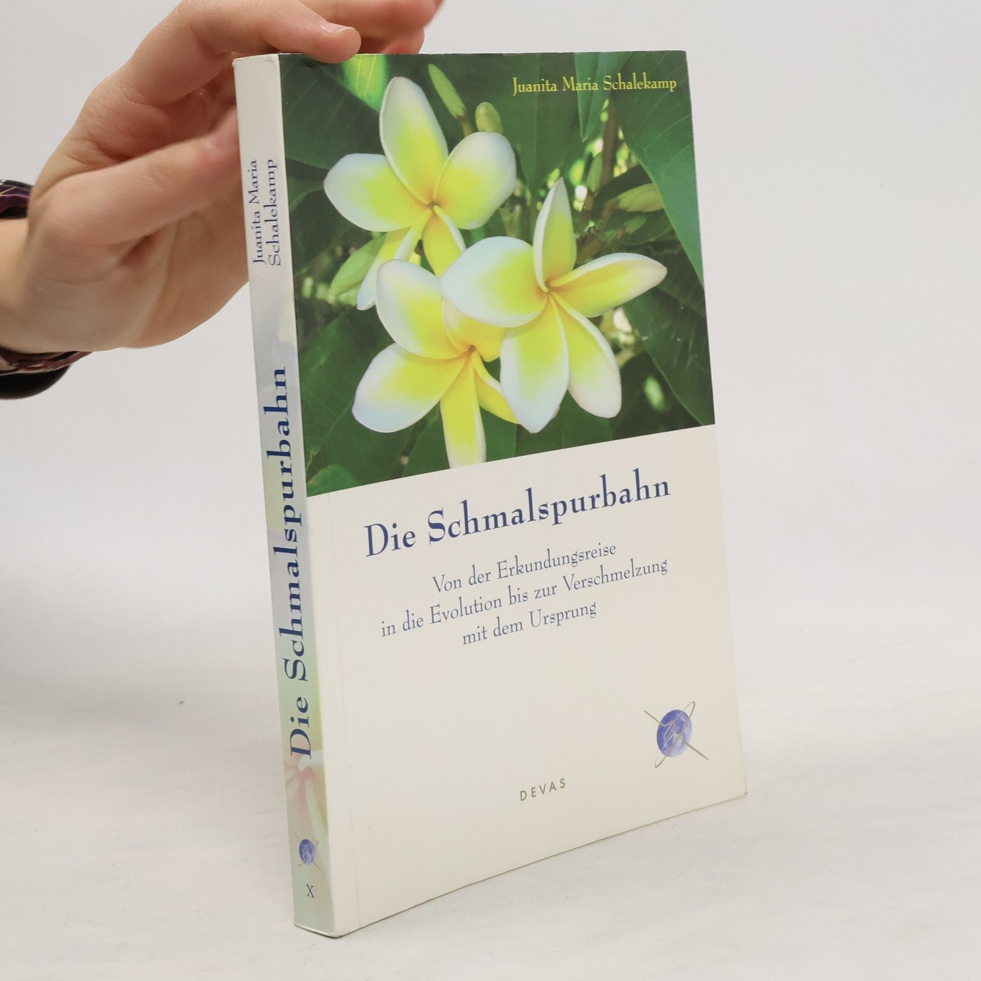 Juanita Maria Schalekamp Die Schmalspurbahn. Von der Erkundungsreise in die Evolution bis zur Verschmelzung mit dem Ursprung