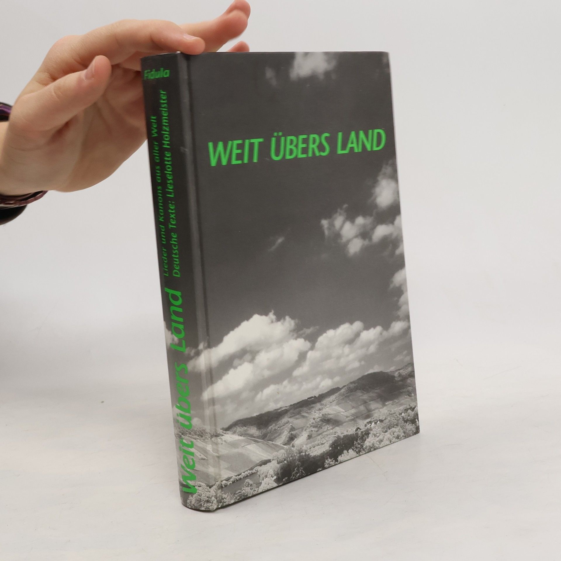 Johannes Holzmeister Weit übers Land