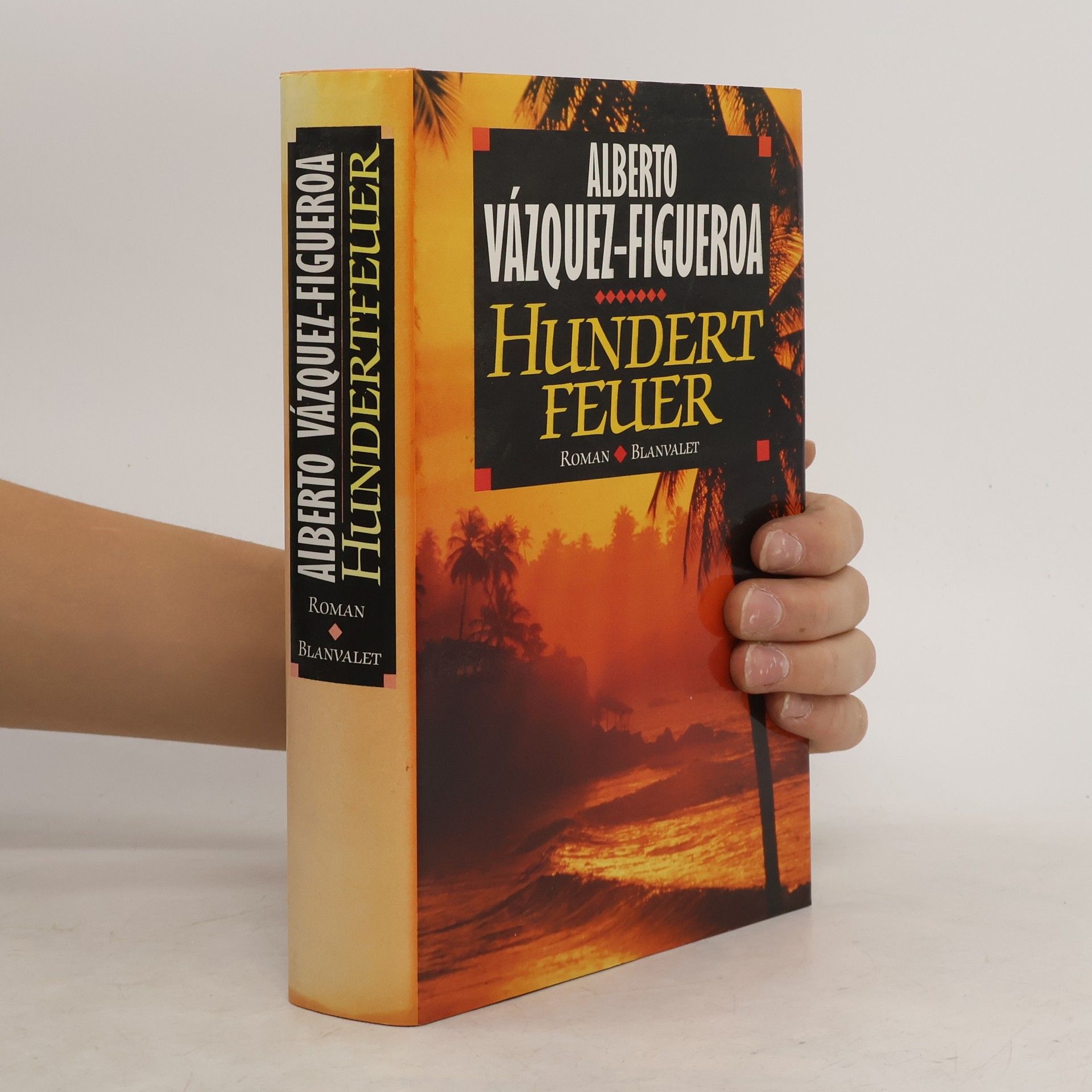 Alberto Vázquez Figueroa Hundert Feuer