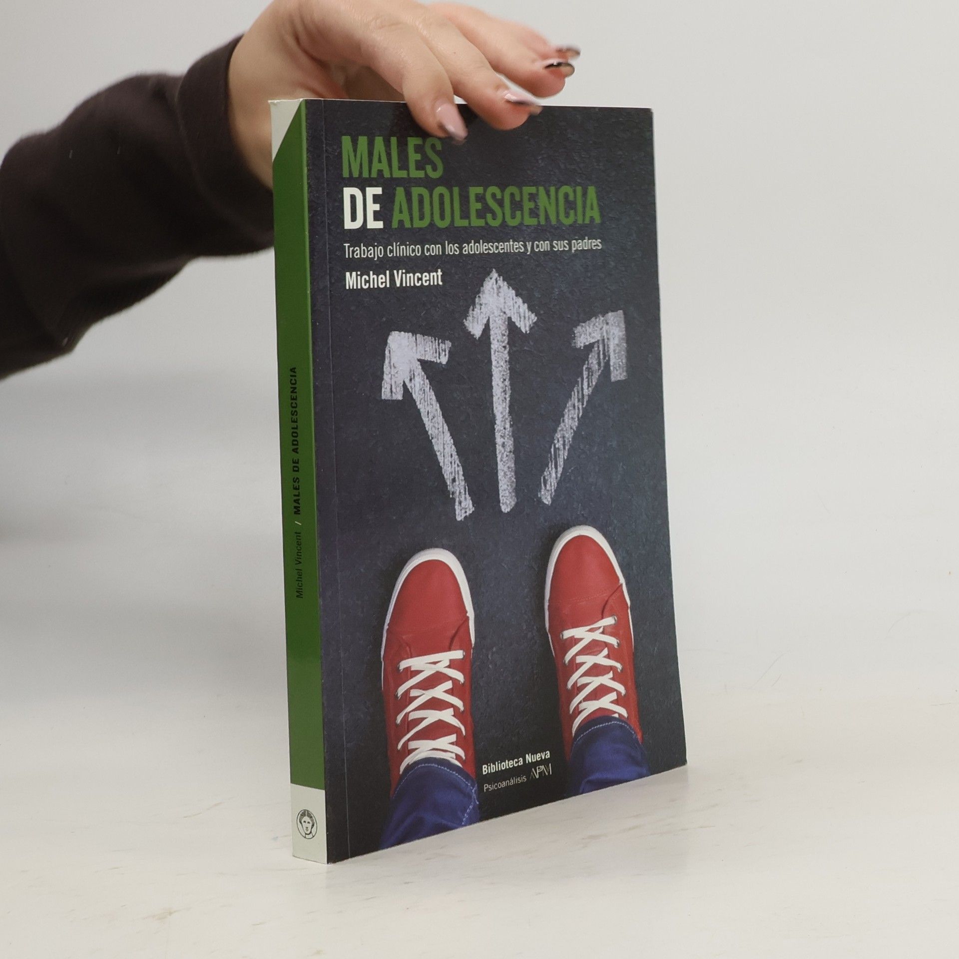 Michel Vincent Males de adolescencia