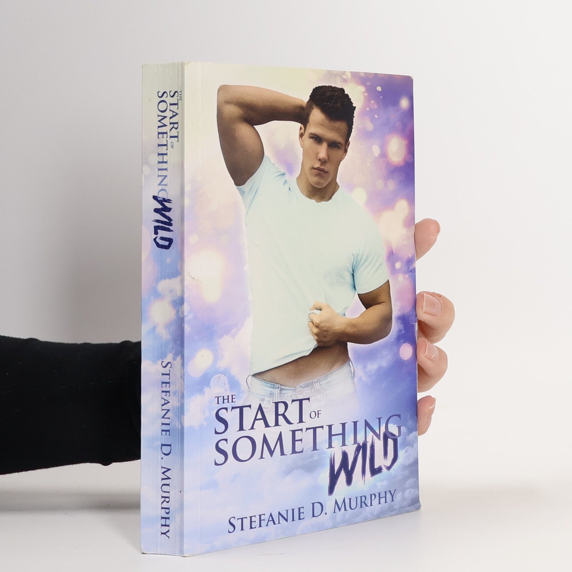 Stefanie D. Murphy The Start of Something Wild