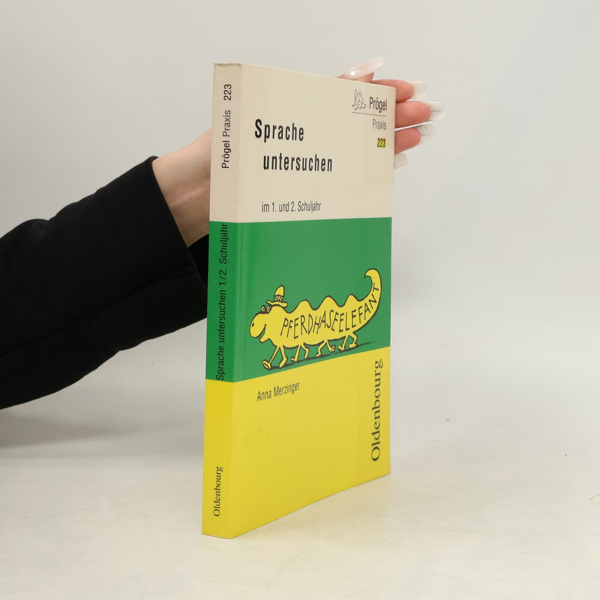 Anna Merzinger Sprache untersuchen