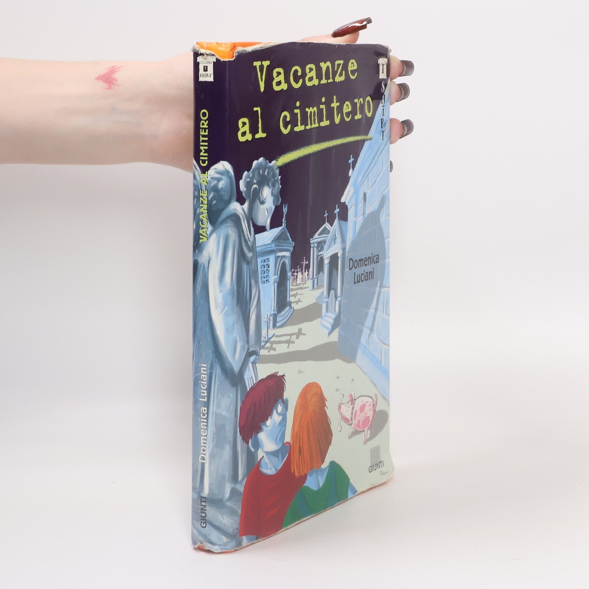 Domenica Luciani Collana T Shirt: Vacanze al cimitero