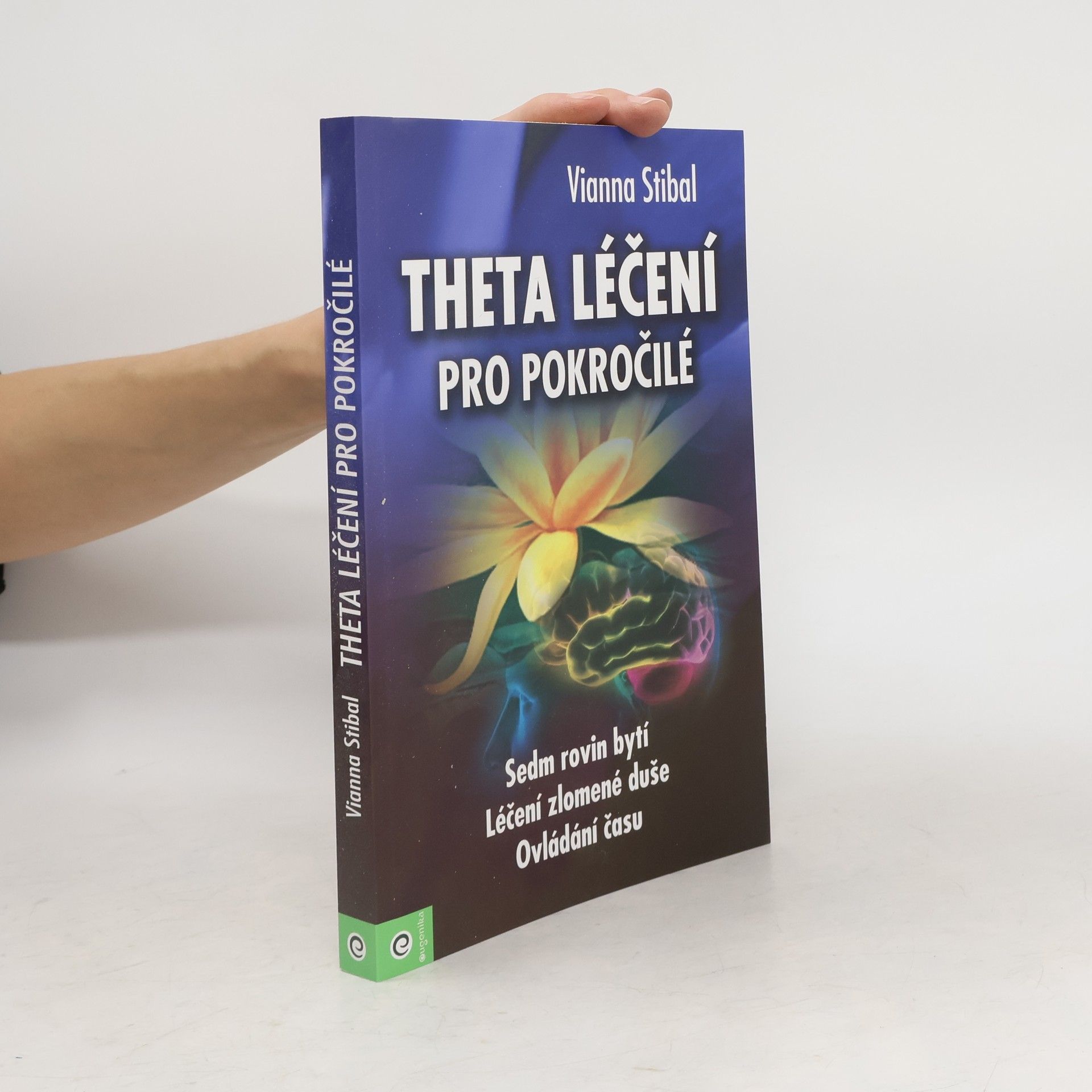 Vianna Stibal Theta léčení pro pokročilé