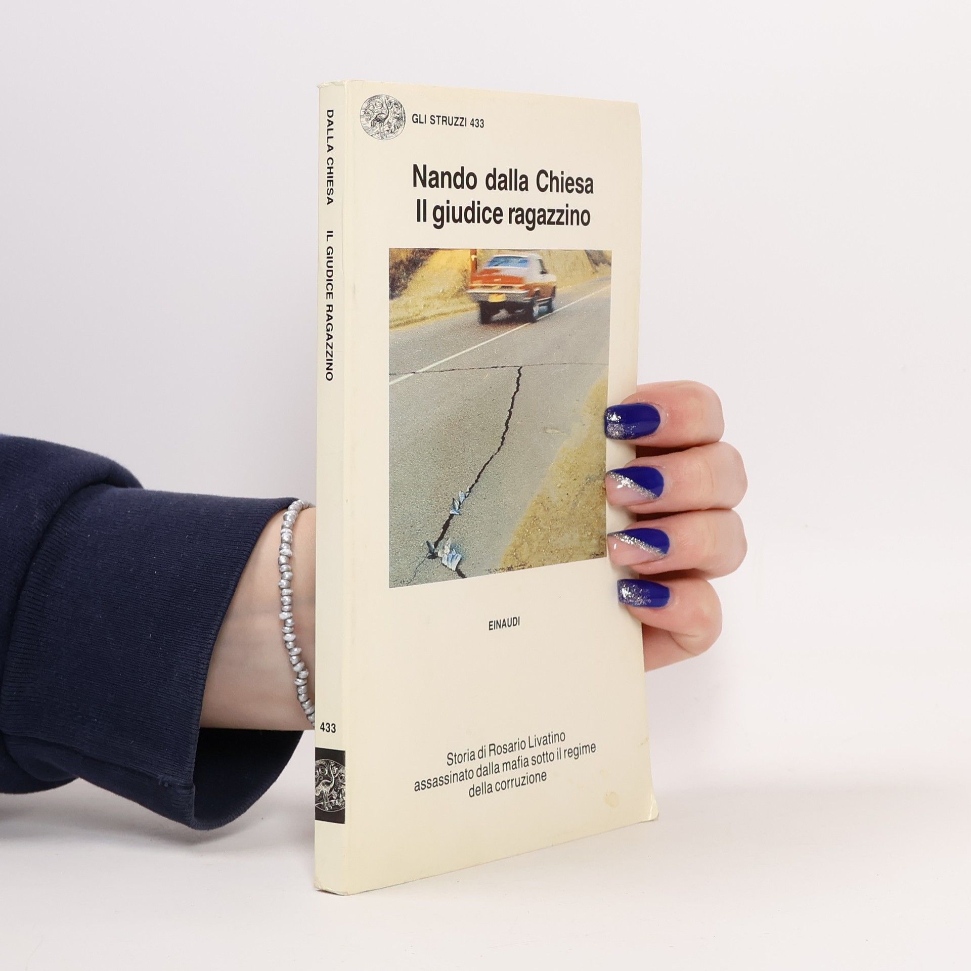 Nando Dalla Chiesa Il giudice ragazzino