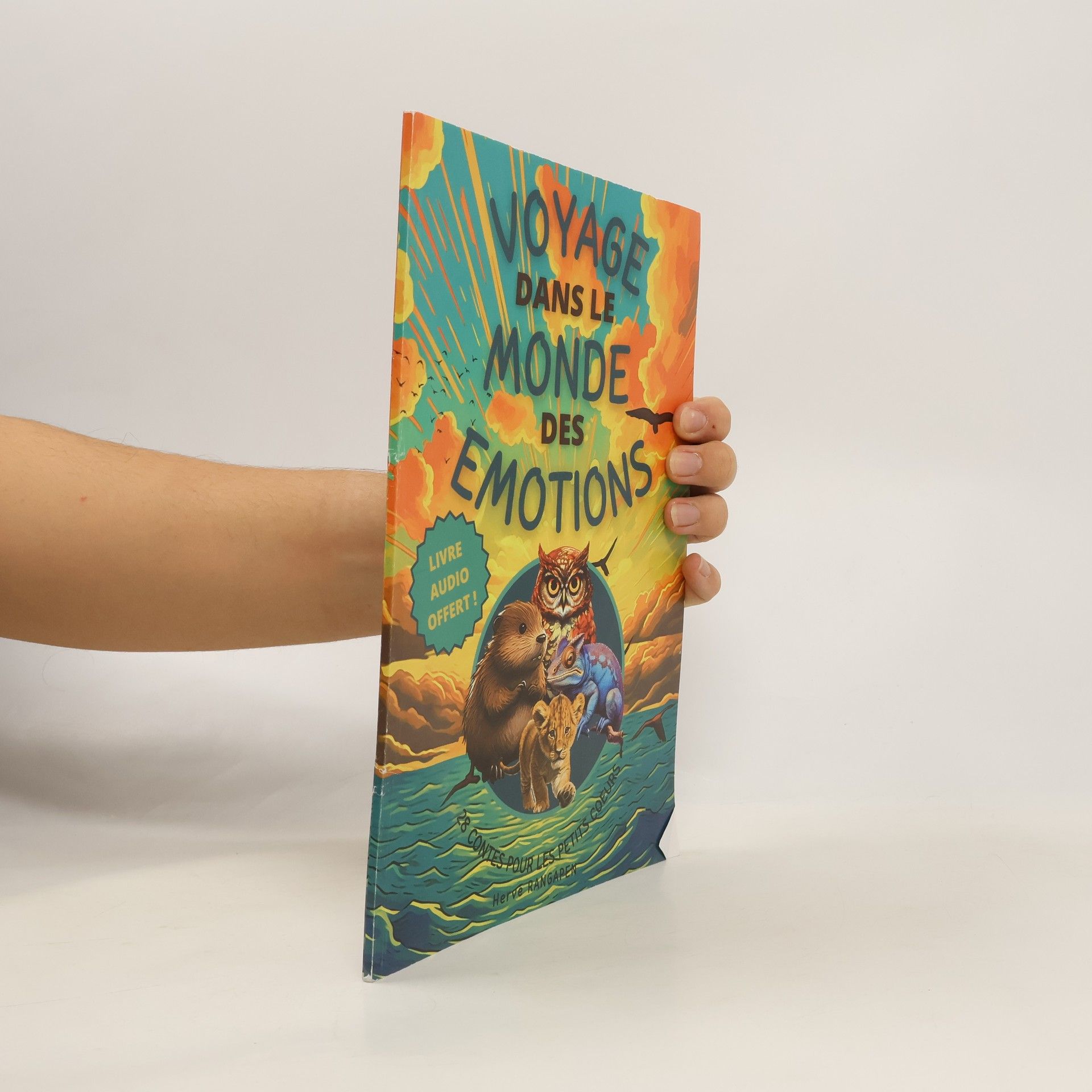 Hervé Rangapen  Voyage dans le monde des émotions