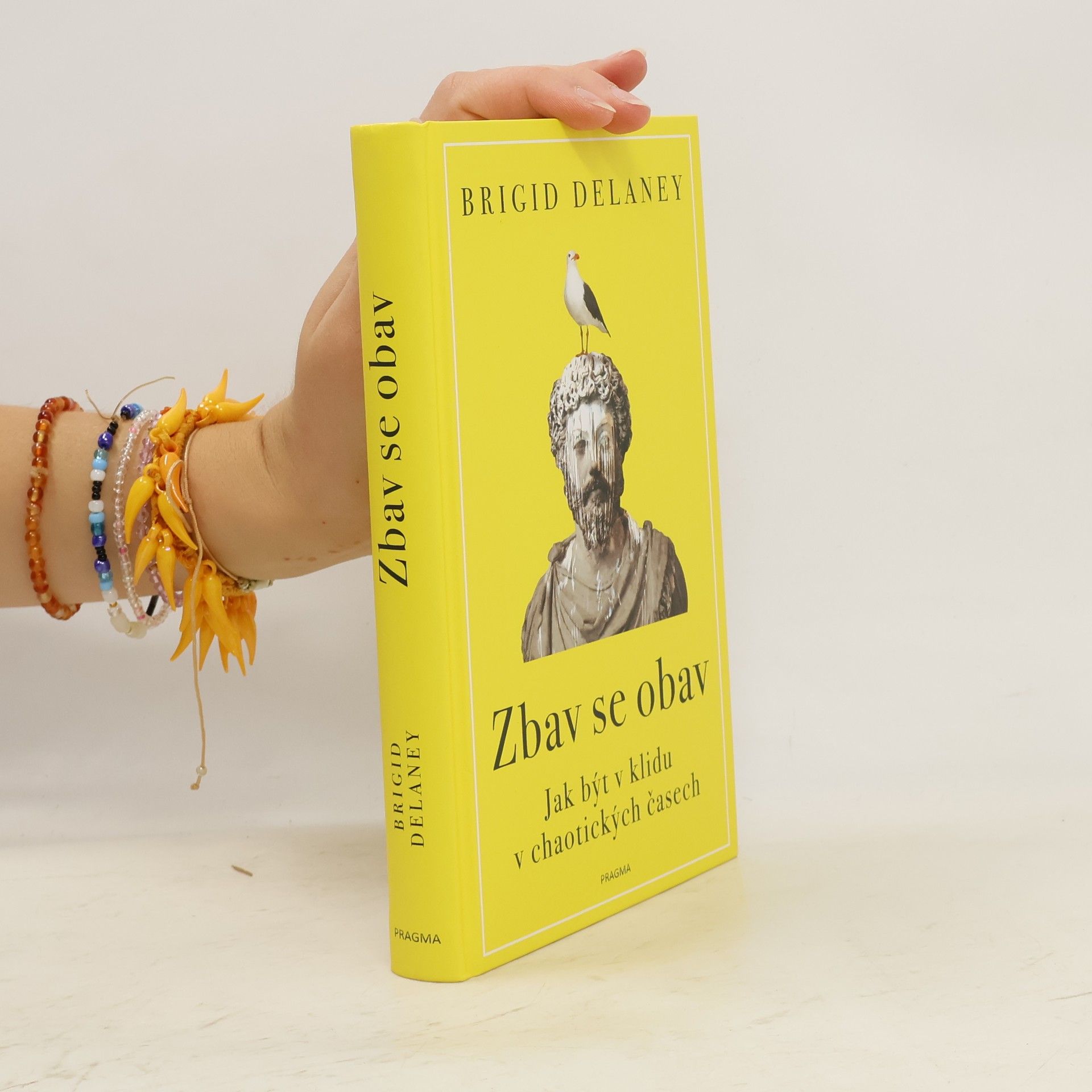 Brigid Delaney Zbav se obav. Jak být v klidu v chaotických časech