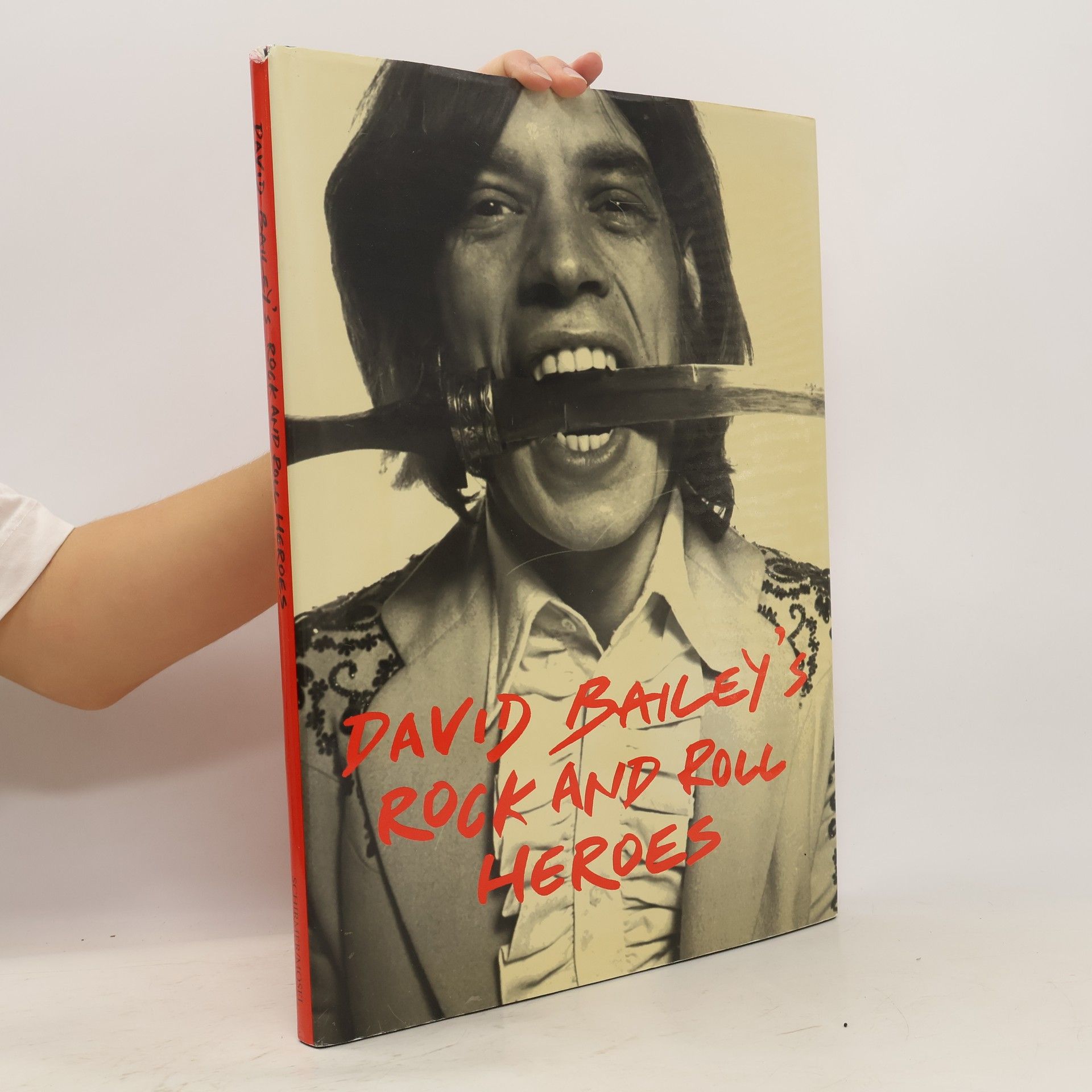 David Bailey's Rock and roll heroes