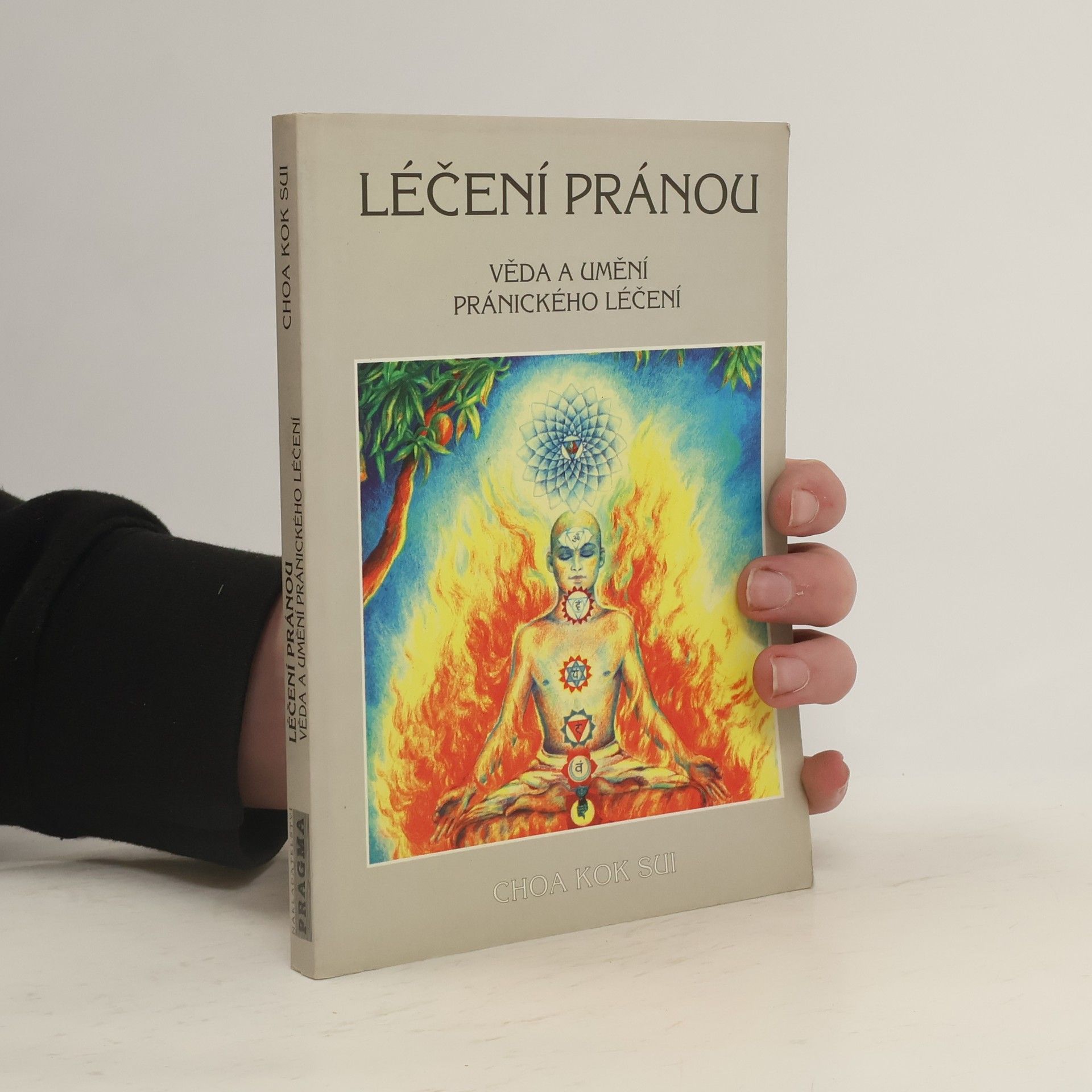 Léčení pránou: Věda a umění pránického léčení