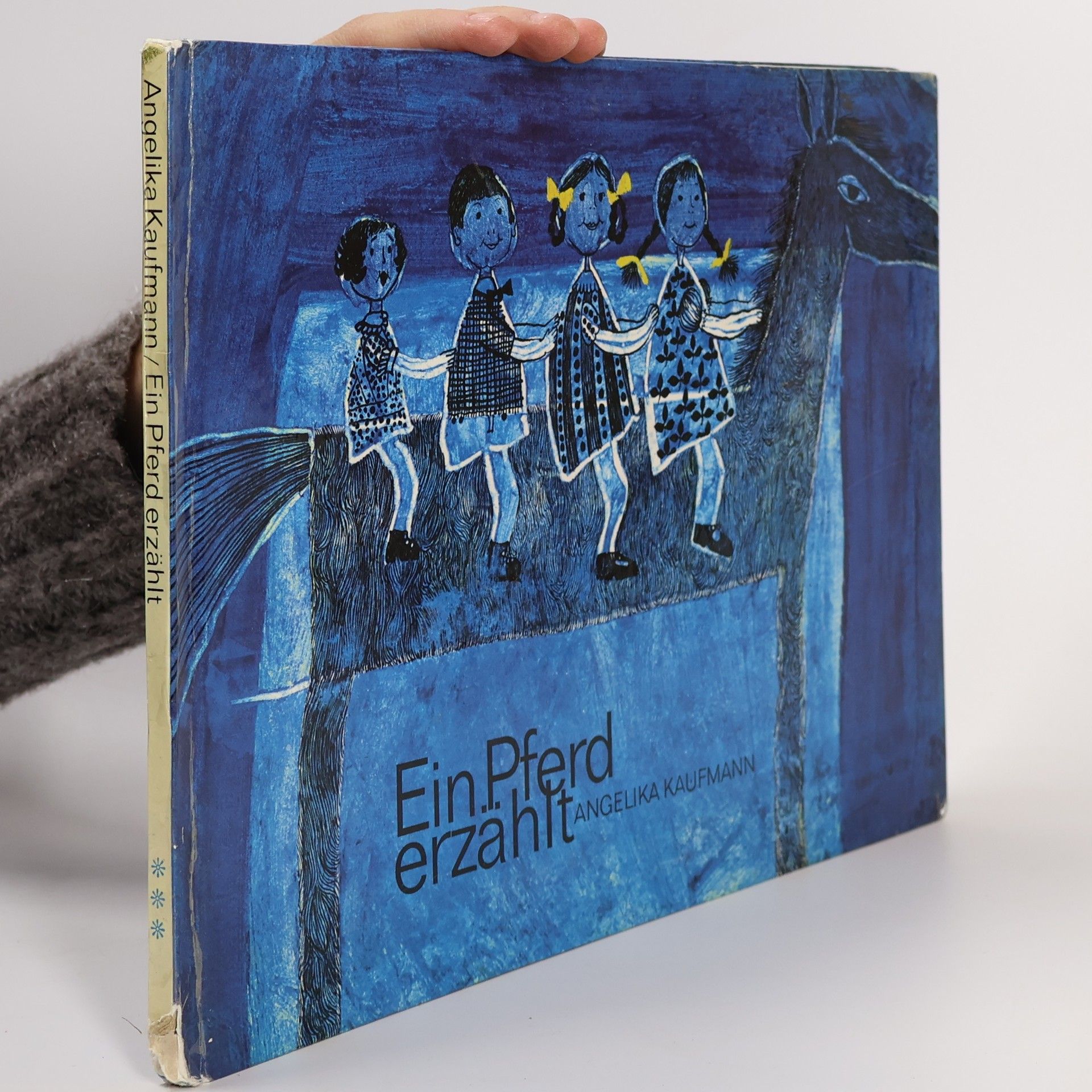 Angelika Kaufmann Ein Pferd erzählt