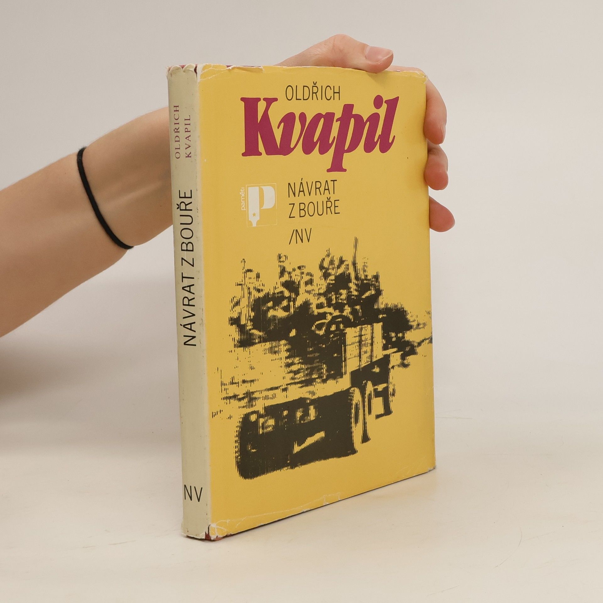 Oldřich Kvapil Návrat z bouře