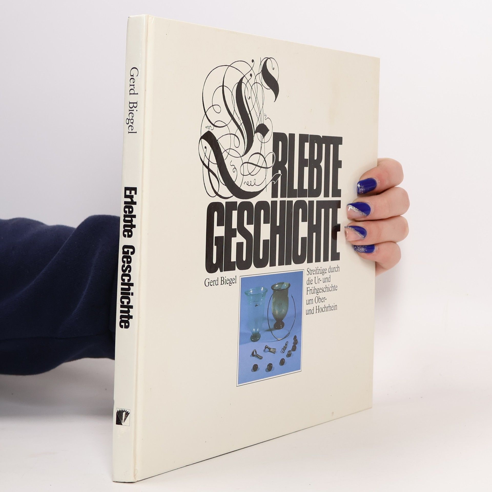 Gerd Biegel Erlebte Geschichte