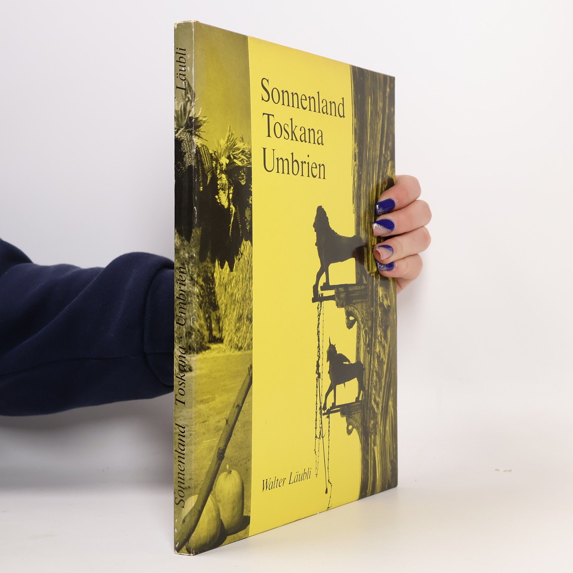 Walter Läubli Sonnenland Toskana, Umbrien