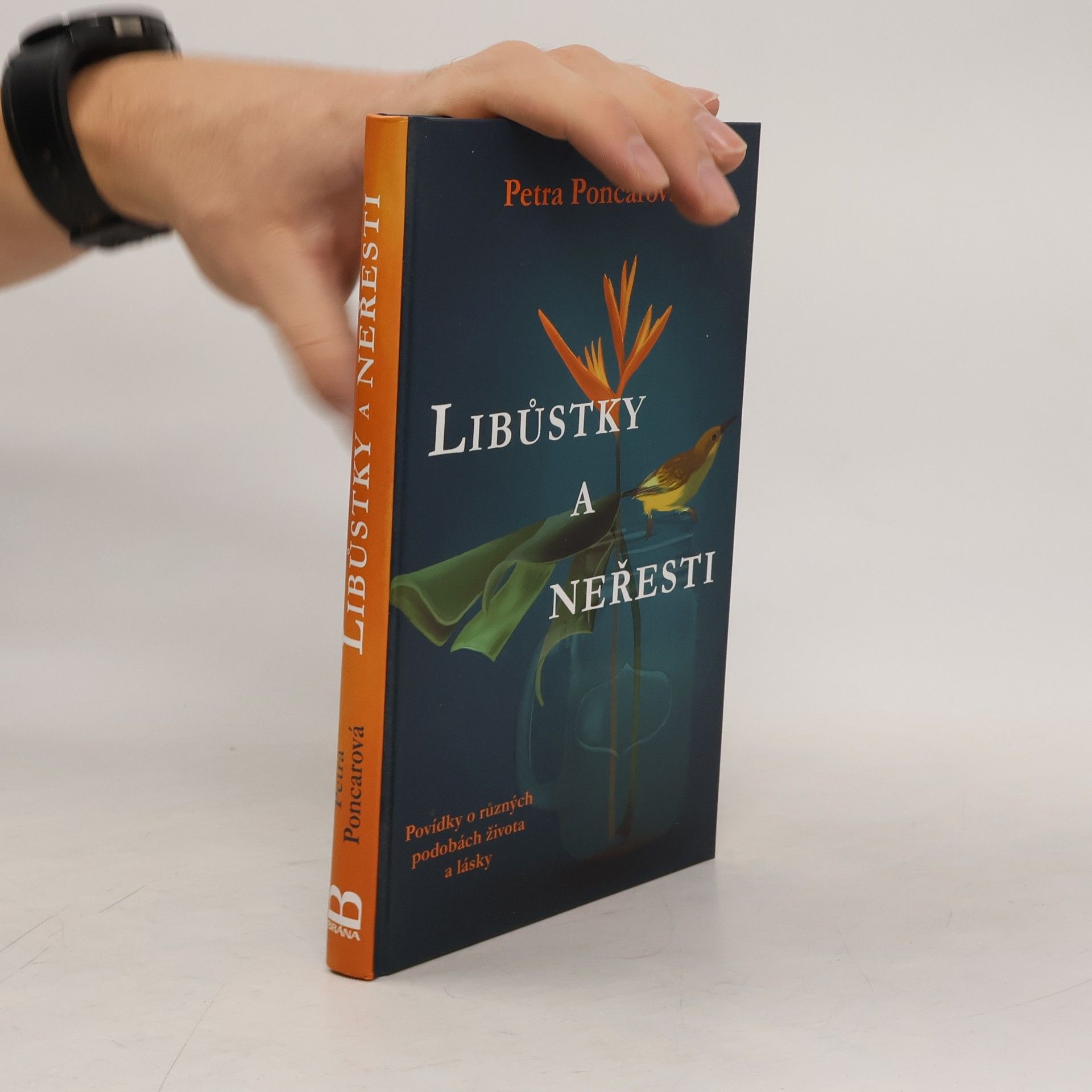 Petra Poncarová Libůstky a neřesti