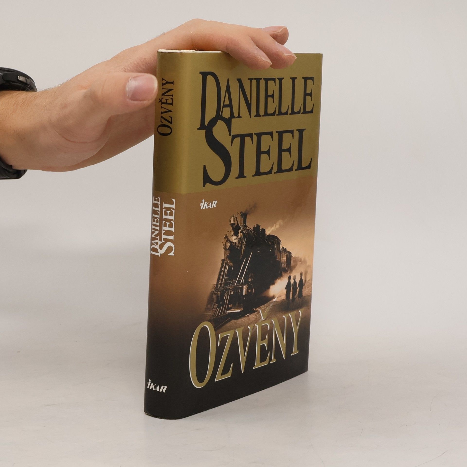 Danielle Steel Ozvěny
