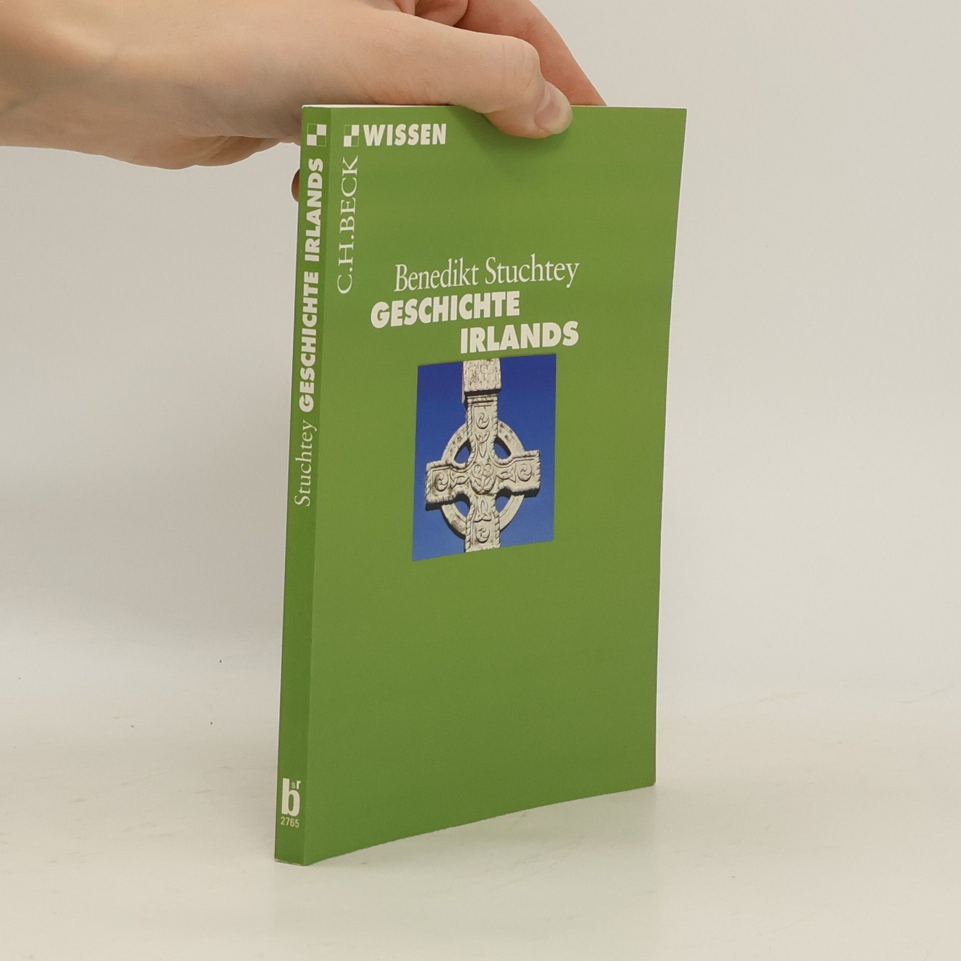 Benedikt Stuchtey Geschichte Irlands