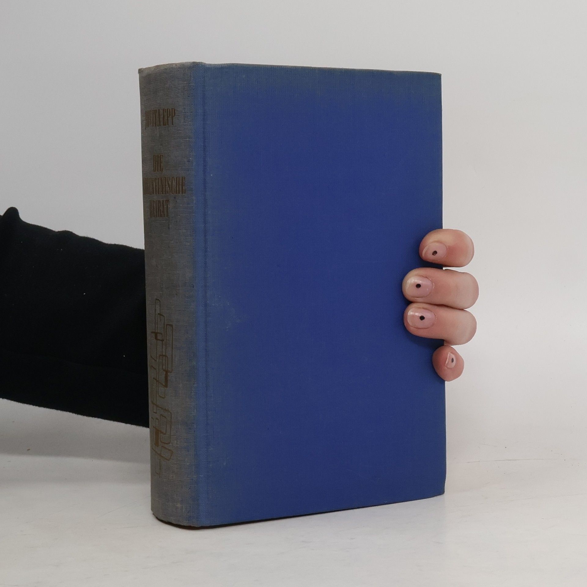 Jovita Epp Die argentinische Heirat