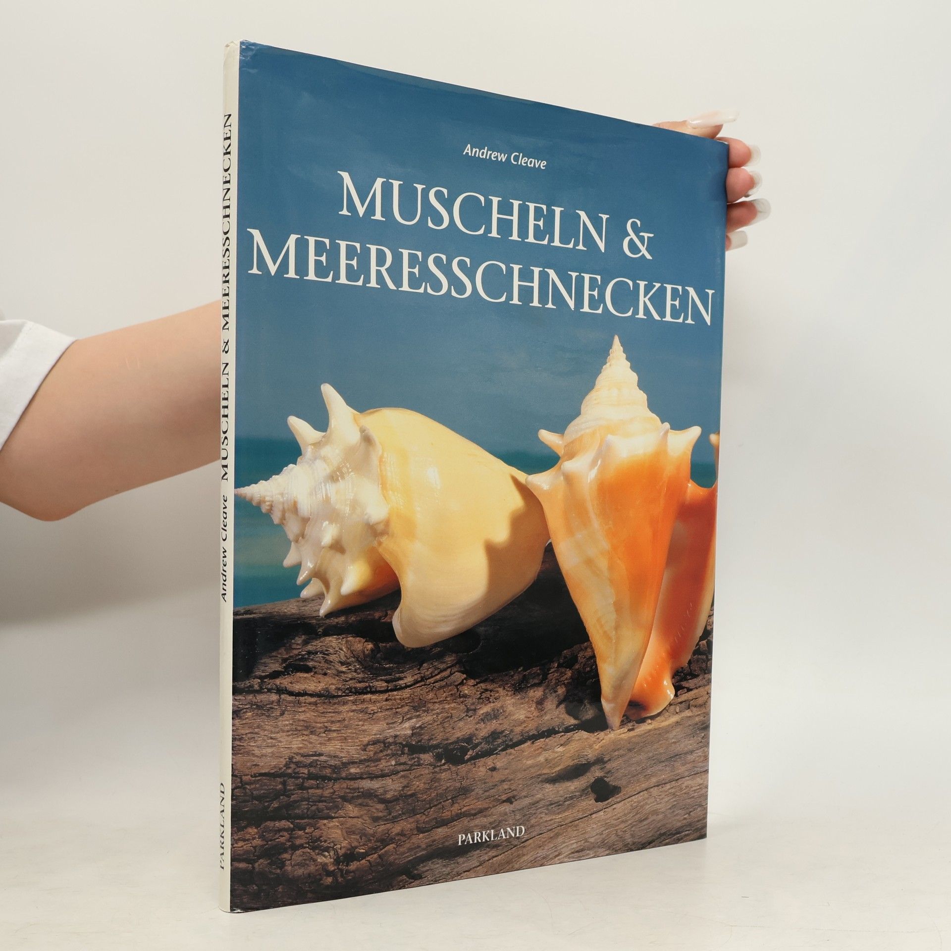 Andrew Cleave Muscheln & Meeresschnecken