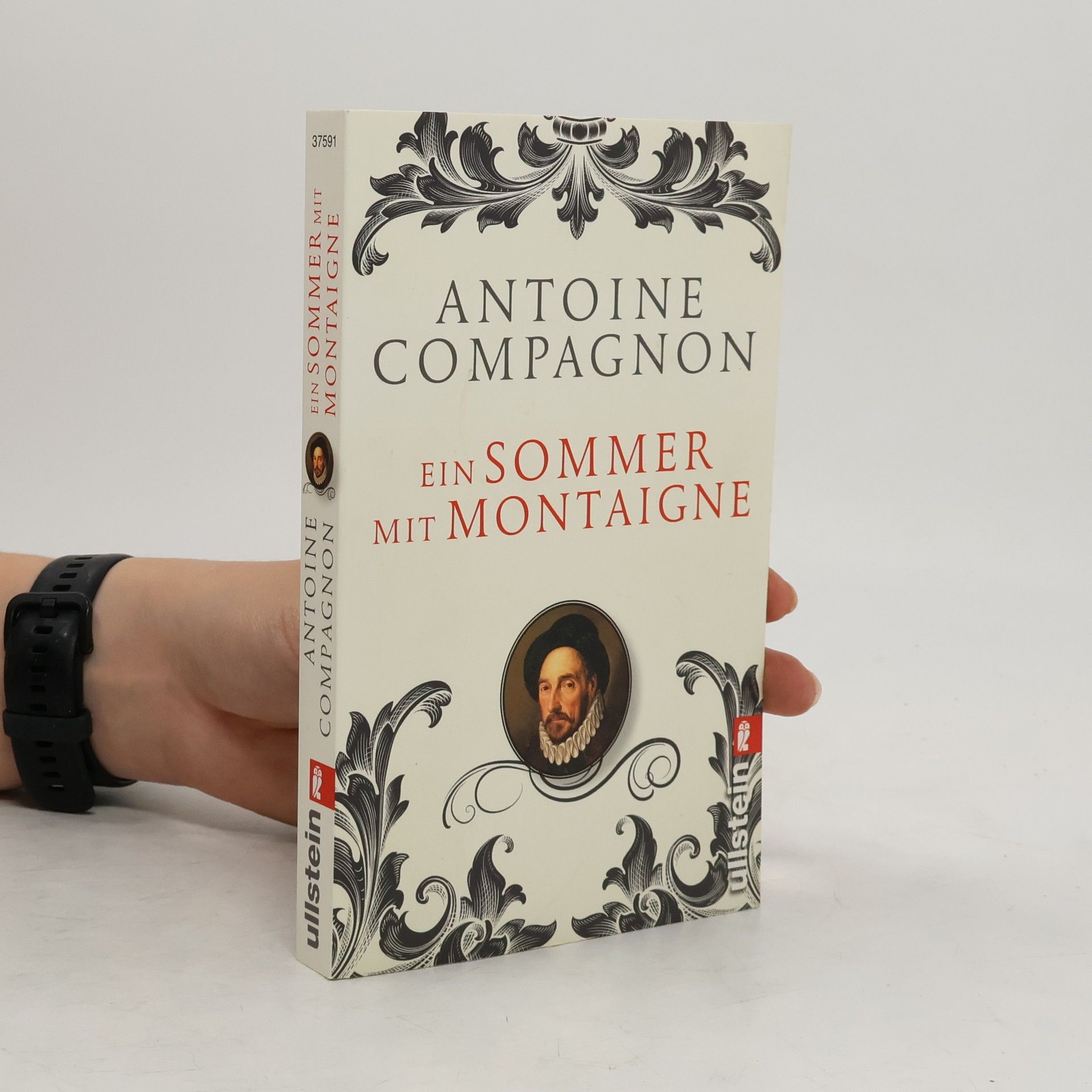Ein Sommer mit Montaigne