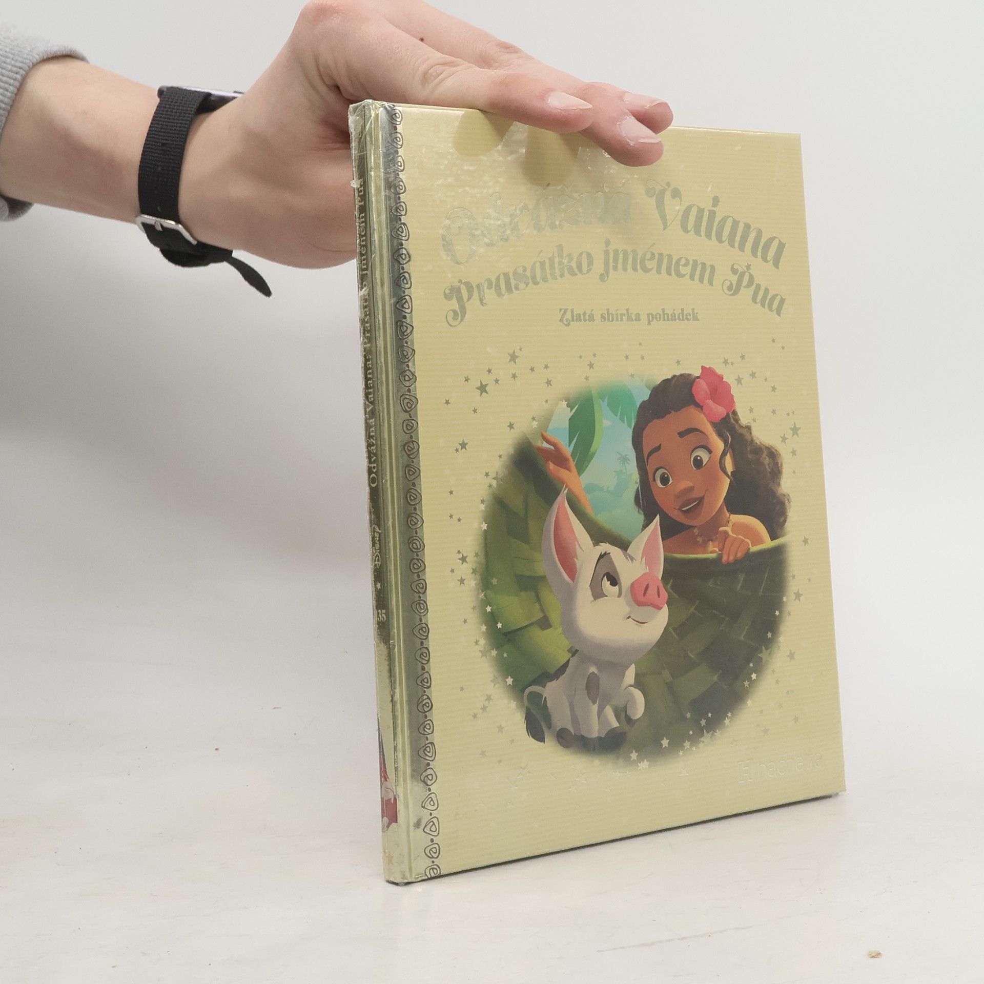 Kolektiv autorů Odvážná Vaiana: Prasátko jménem Pua