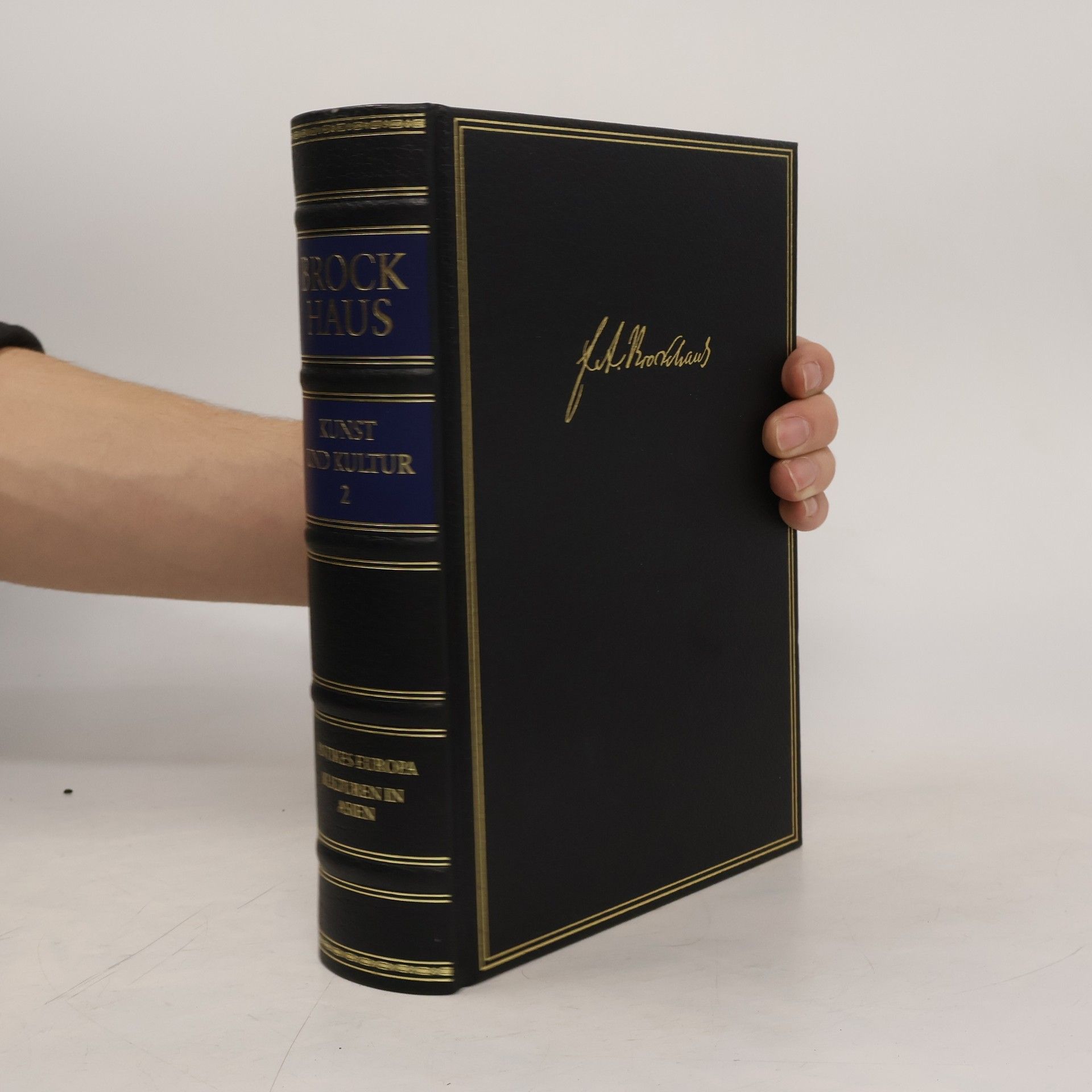 Kolektiv autorů Brockhaus 2. Kunst und Kultur