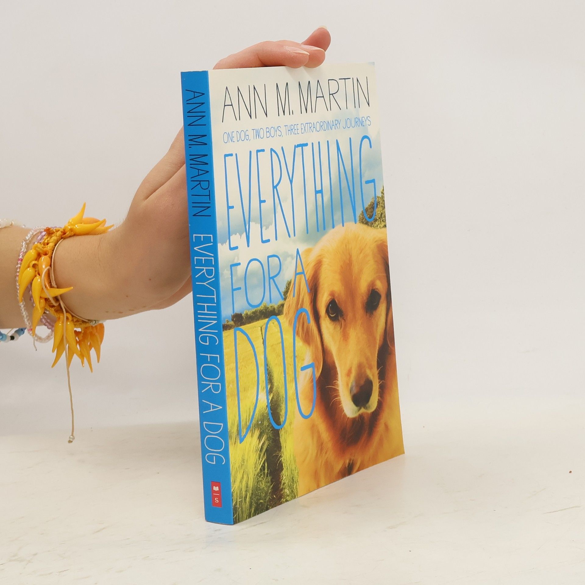 Ann M. Martin Everything for a Dog