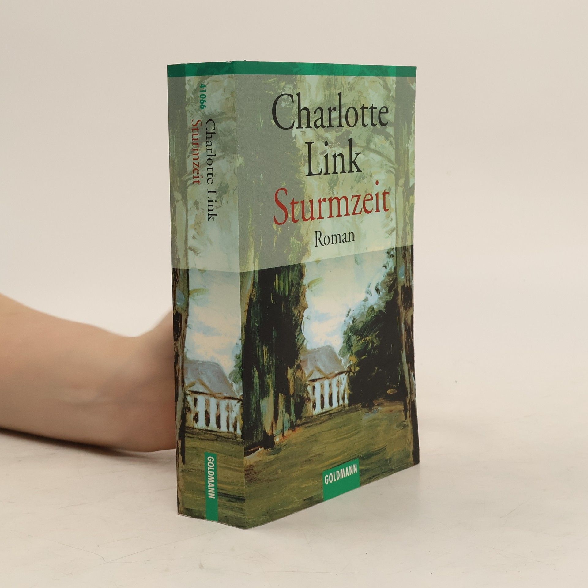 Charlotte Link Sturmzeit