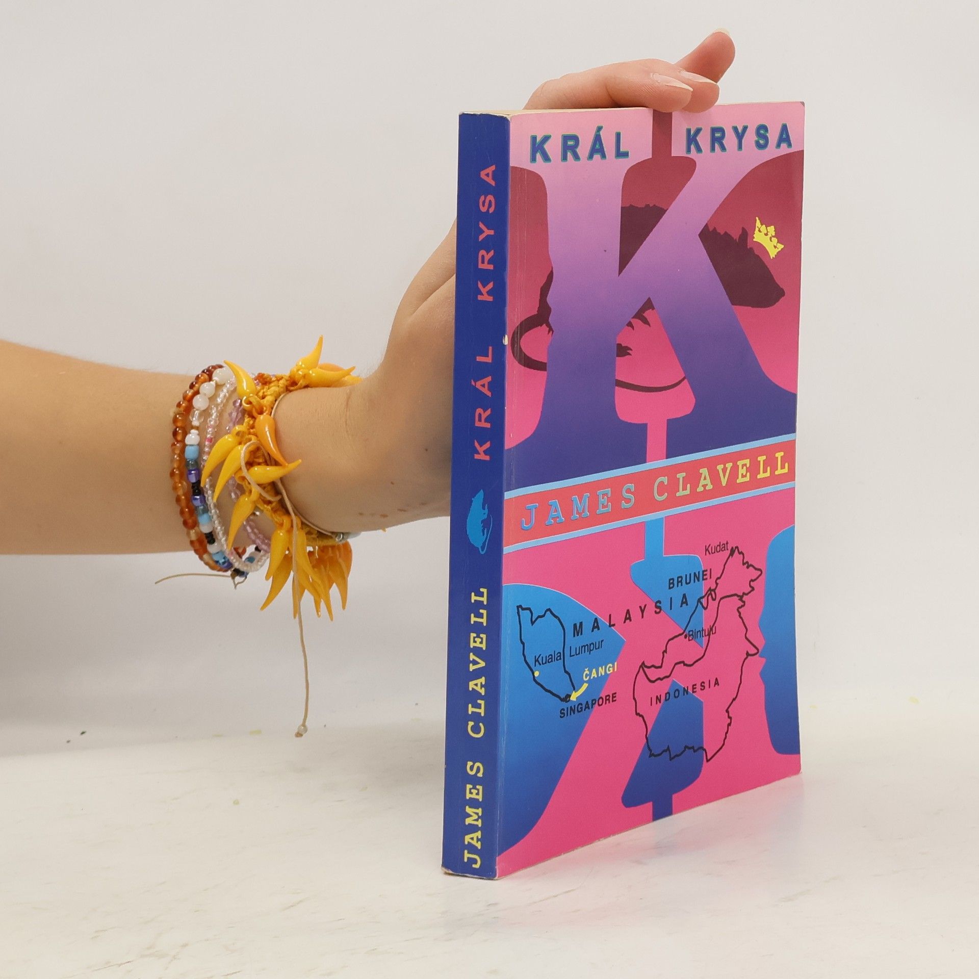 James Clavell Král Krysa
