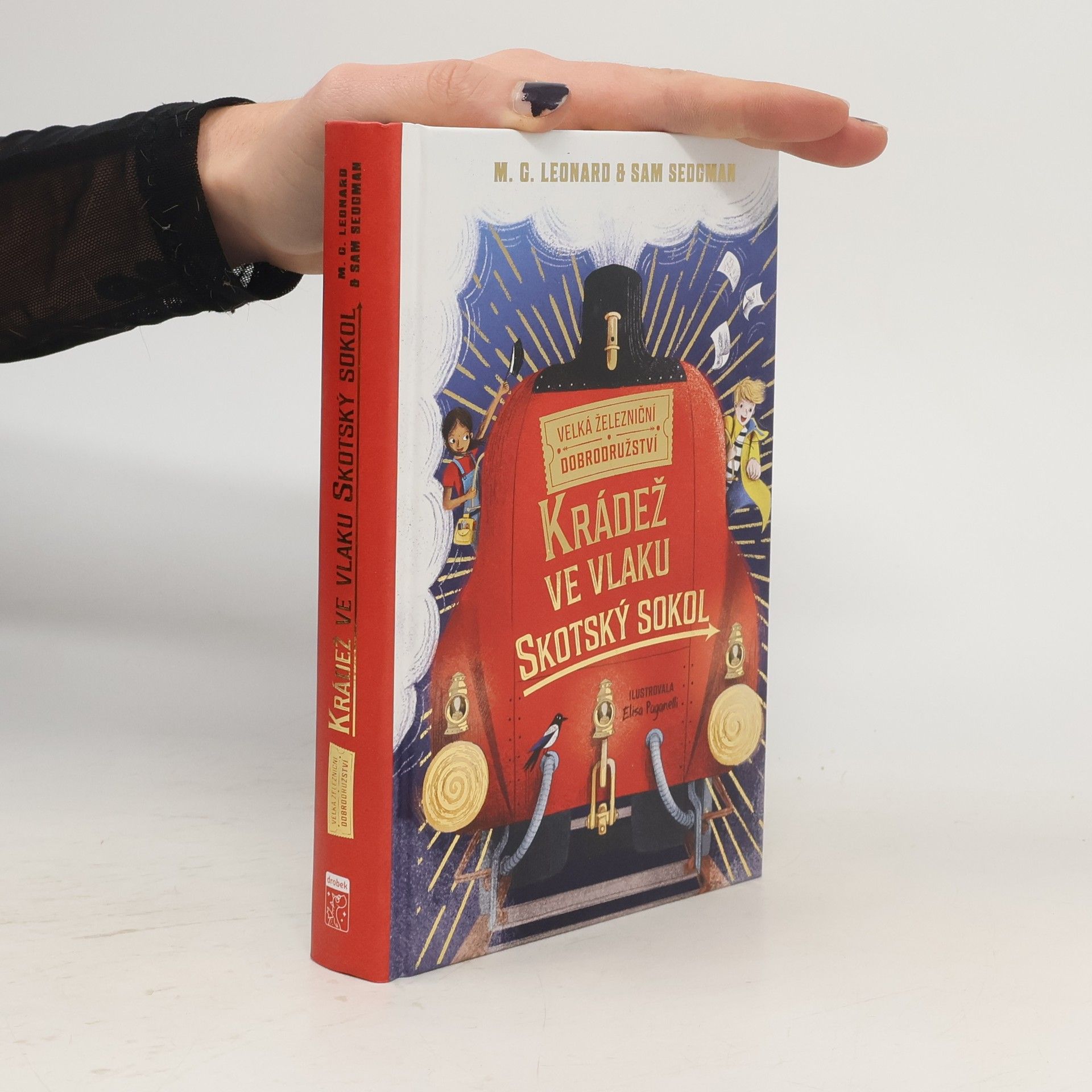 M.G. Leonard Krádež ve vlaku Skotský sokol
