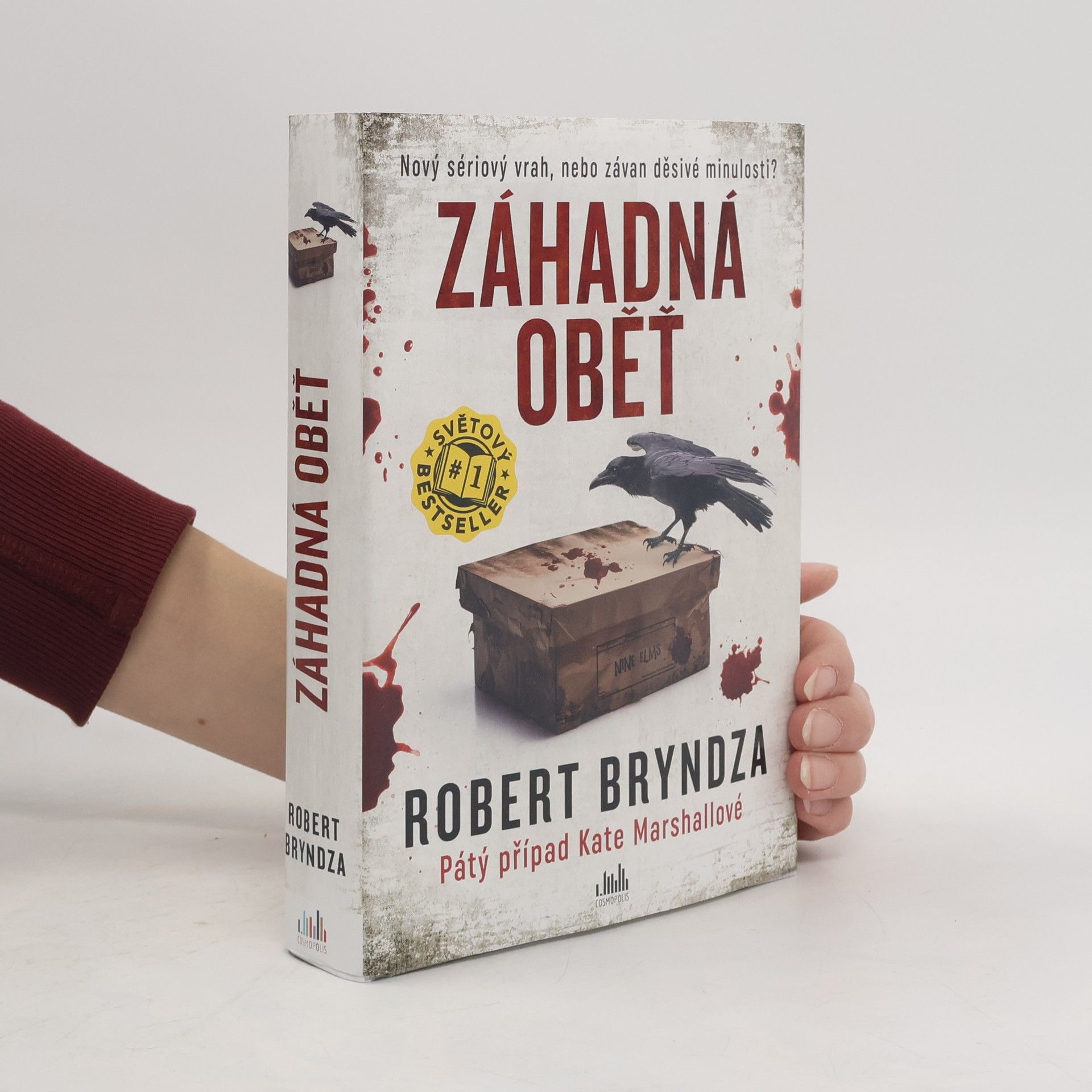 Robert Bryndza Záhadná oběť