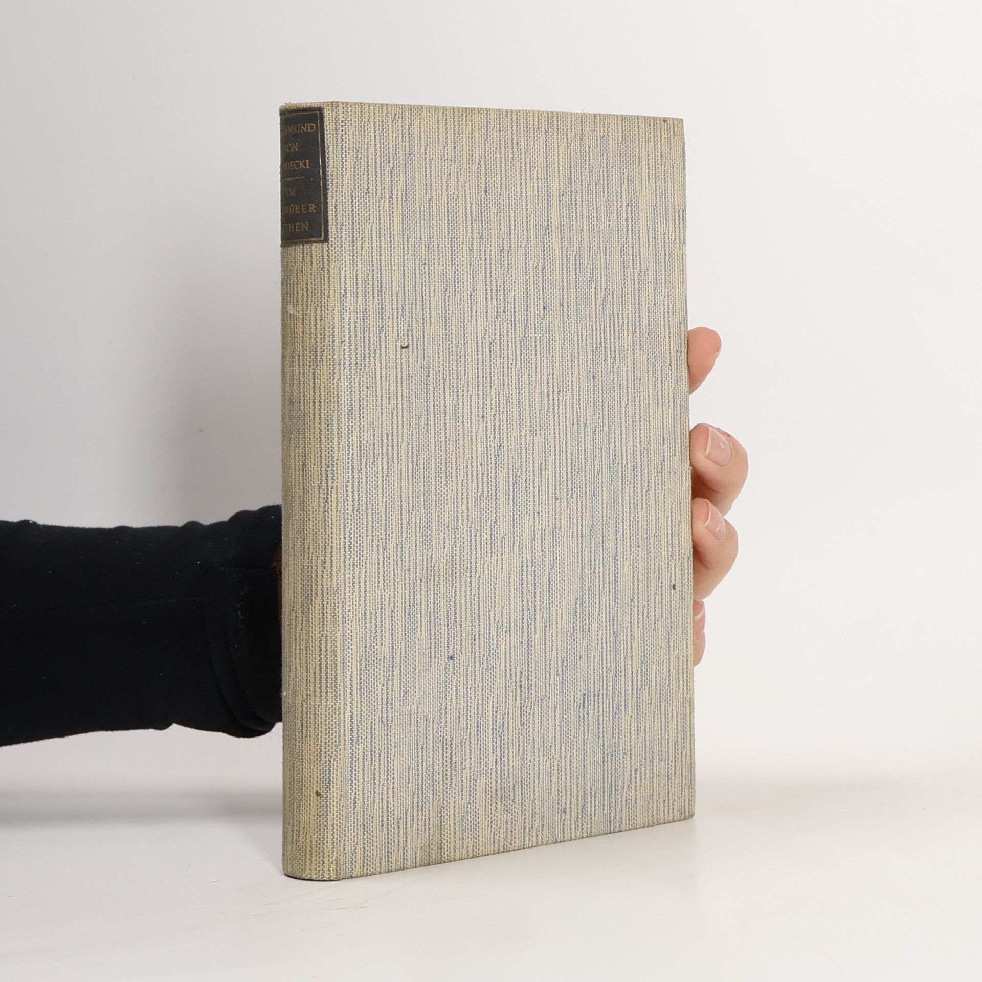 Sigismund V. Radecki Im Vorübergehen