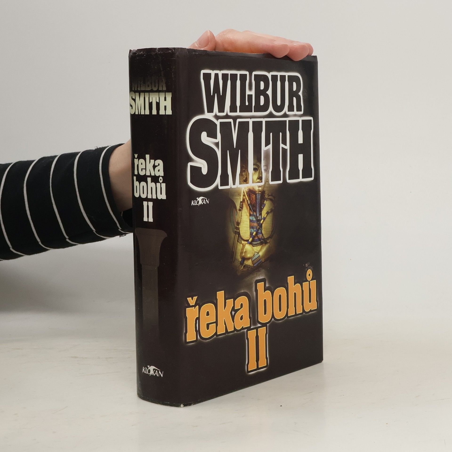 Wilbur Smith Řeka bohů II