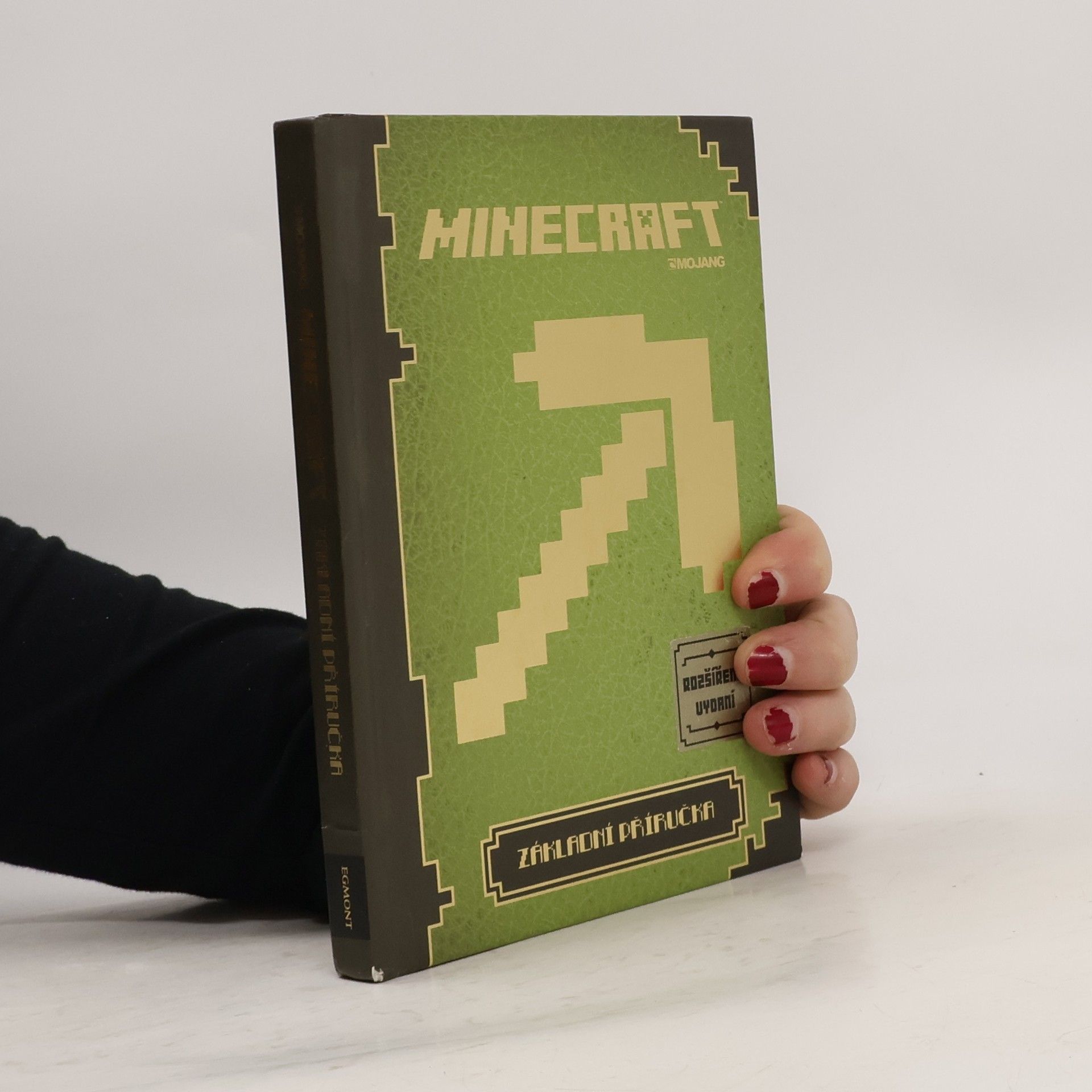 Matyáš Theodor Frydrych Minecraft