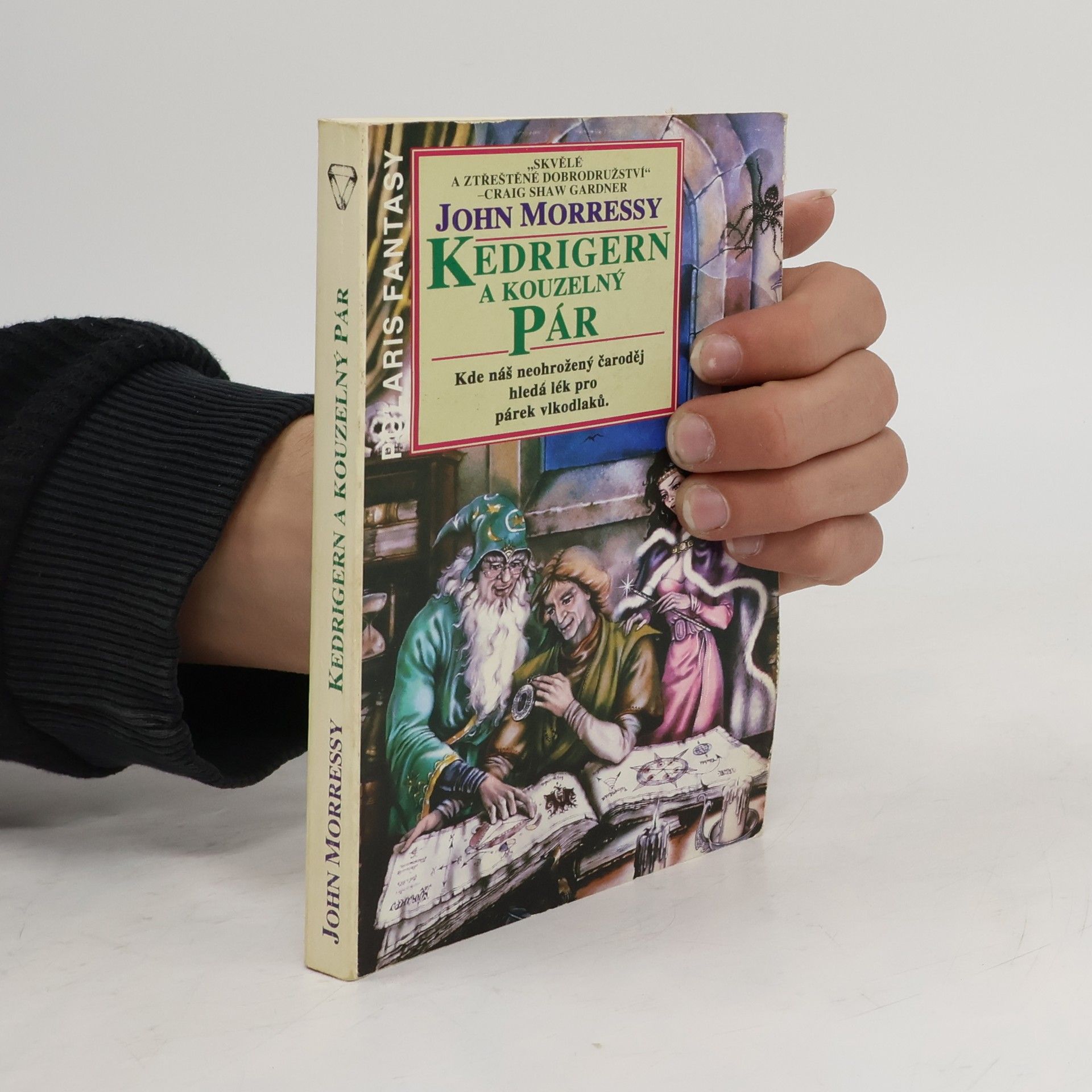 John Morressy Kedrigern a kouzelný pár