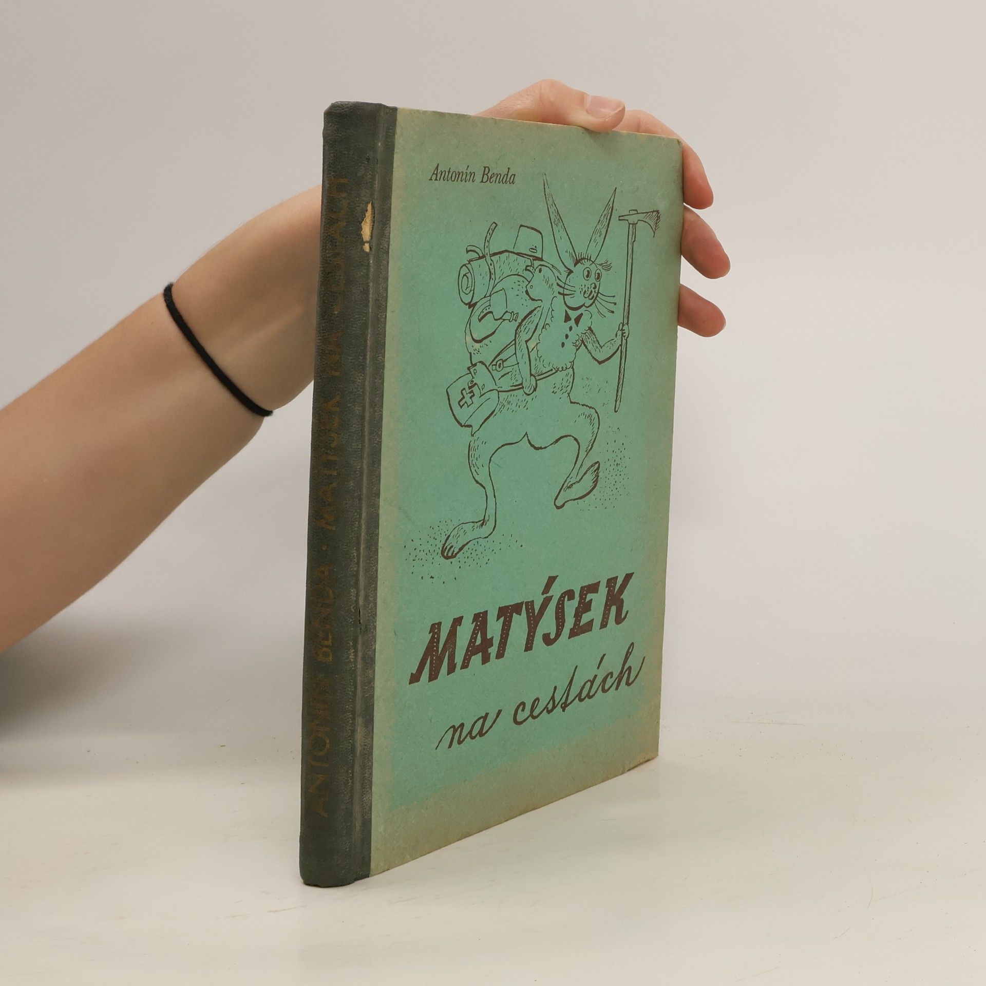 Matýsek na cestách