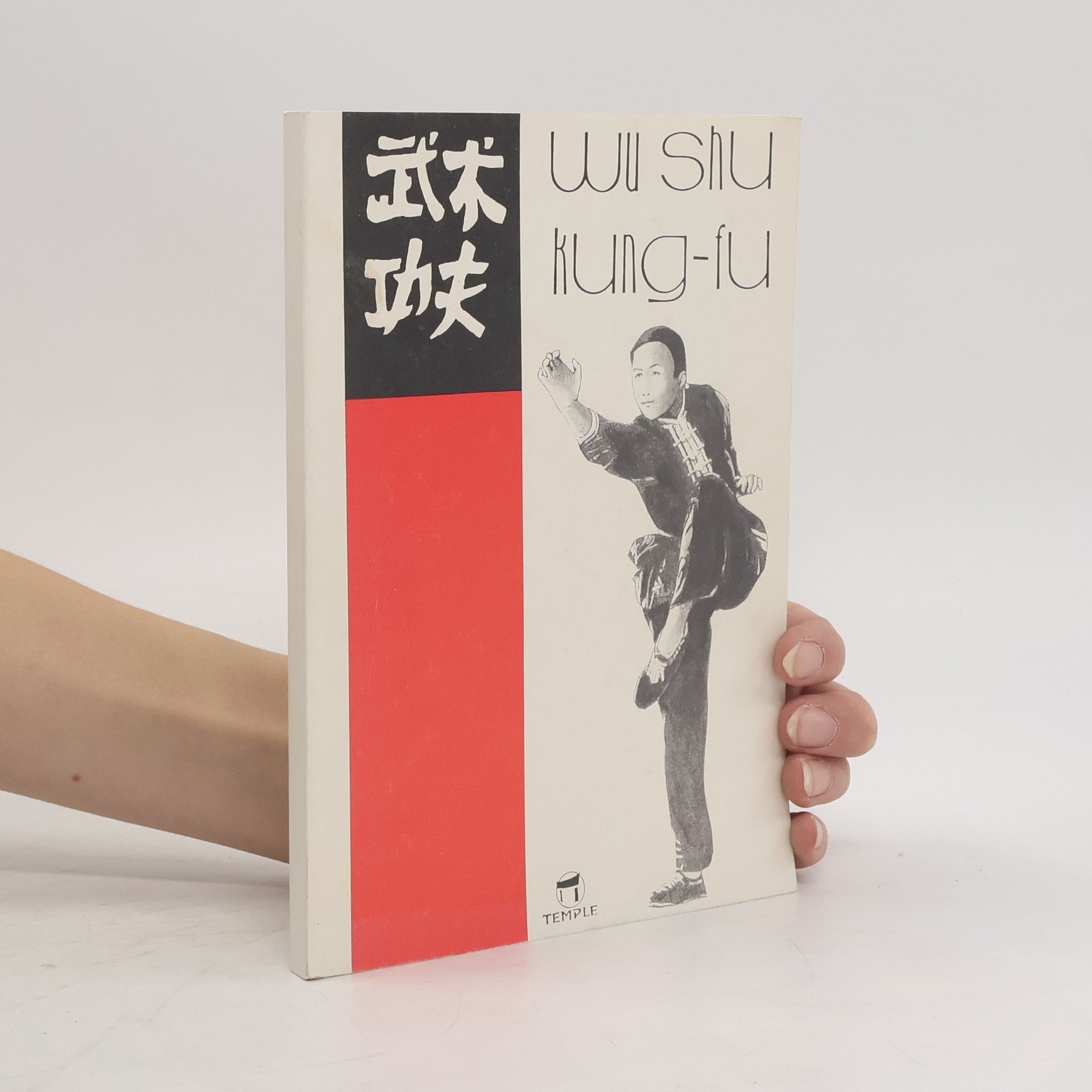 Pavel Brabec Wu shu. Kung-fu