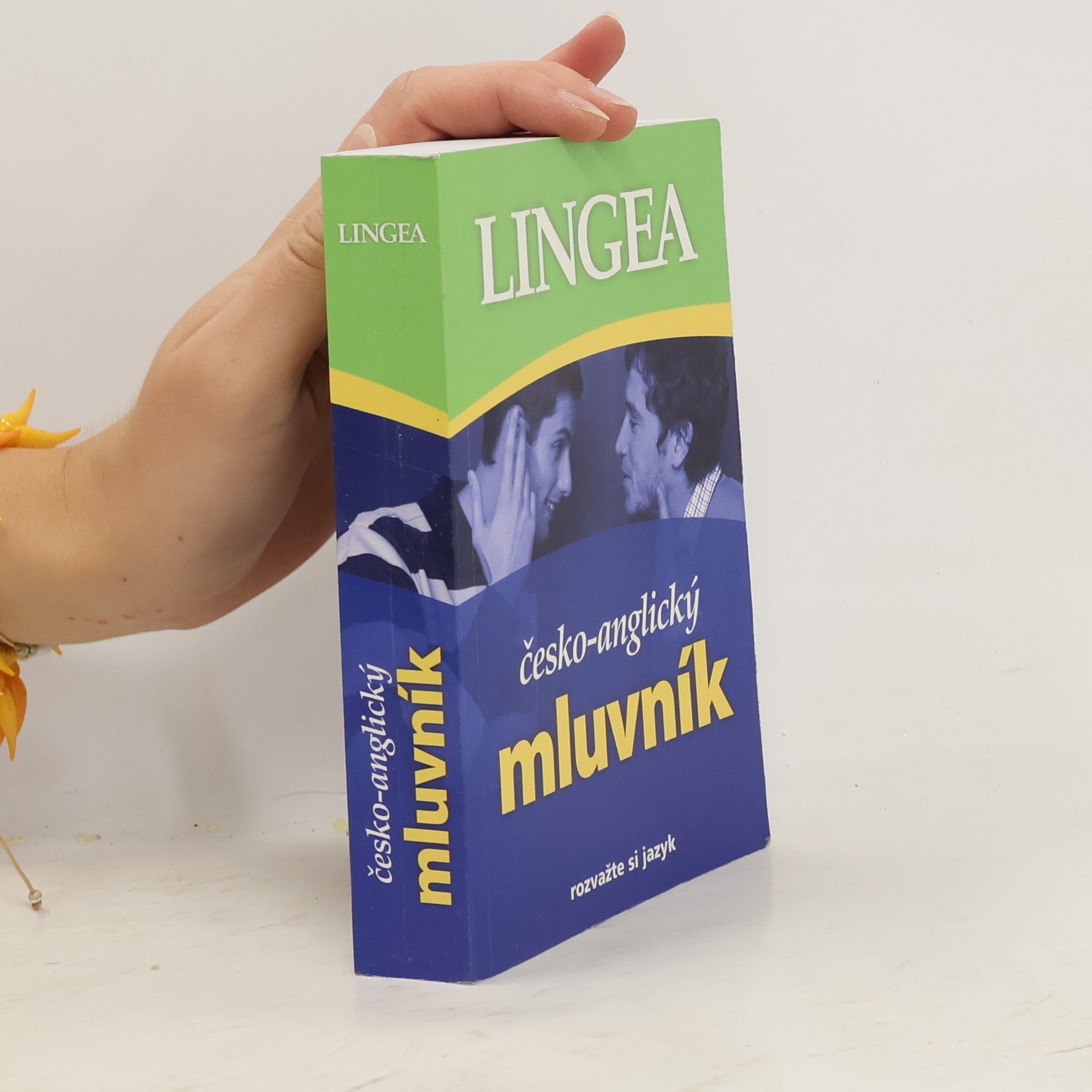 Various authors Česko-anglický mluvník