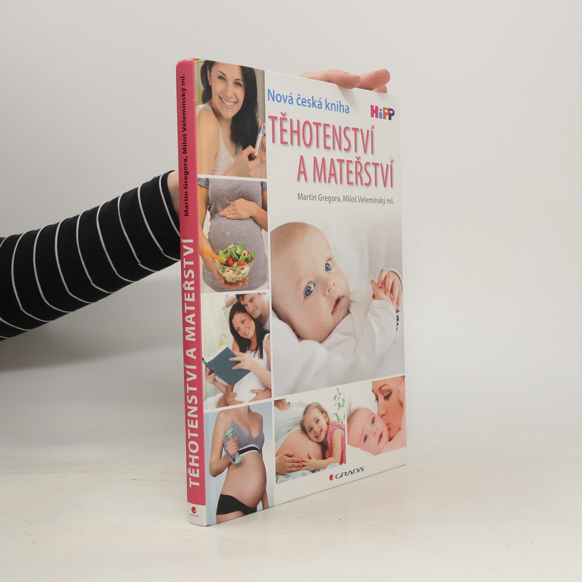 Martin Gregor-Dellin Těhotenství a mateřství