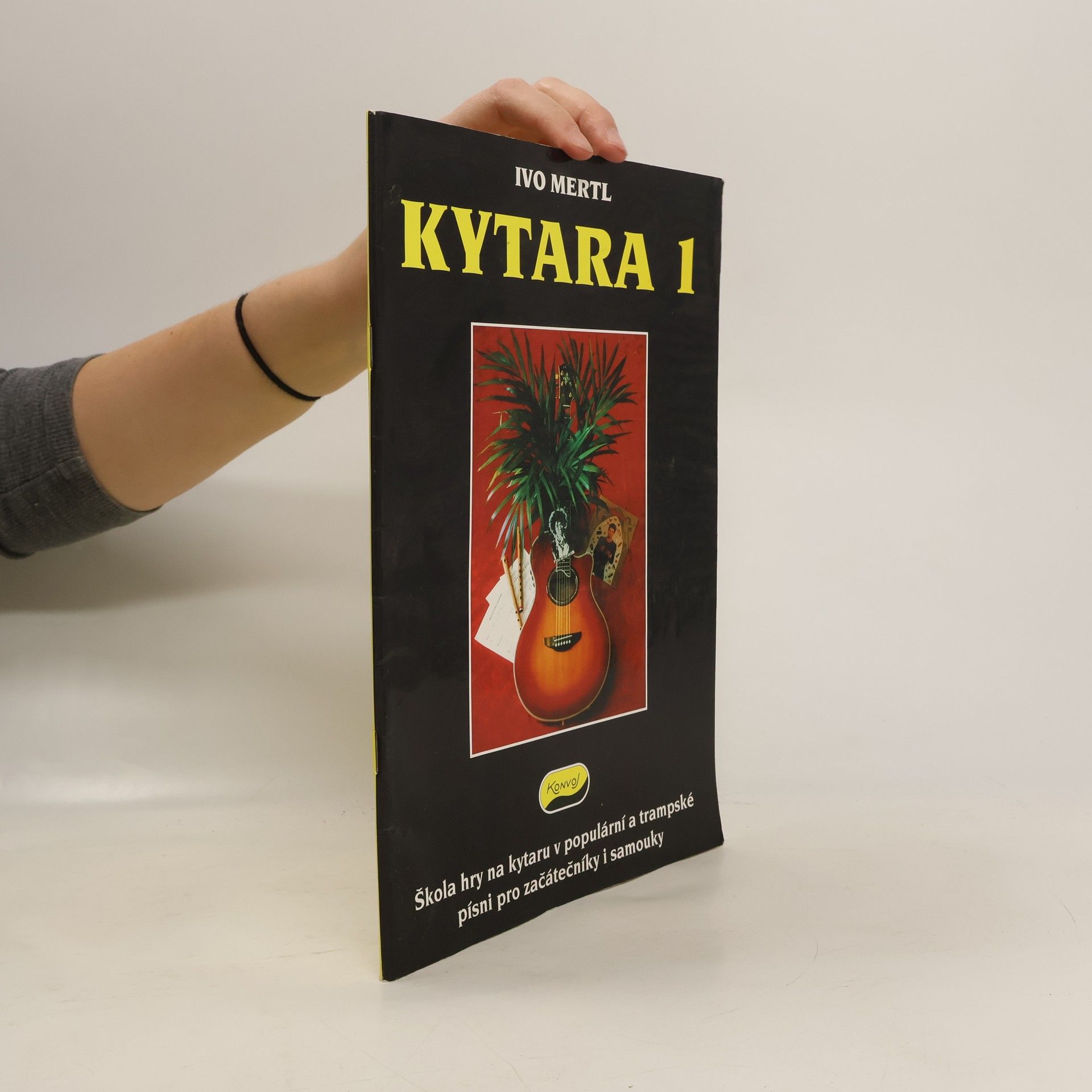 Ivo Mertl Kytara 1