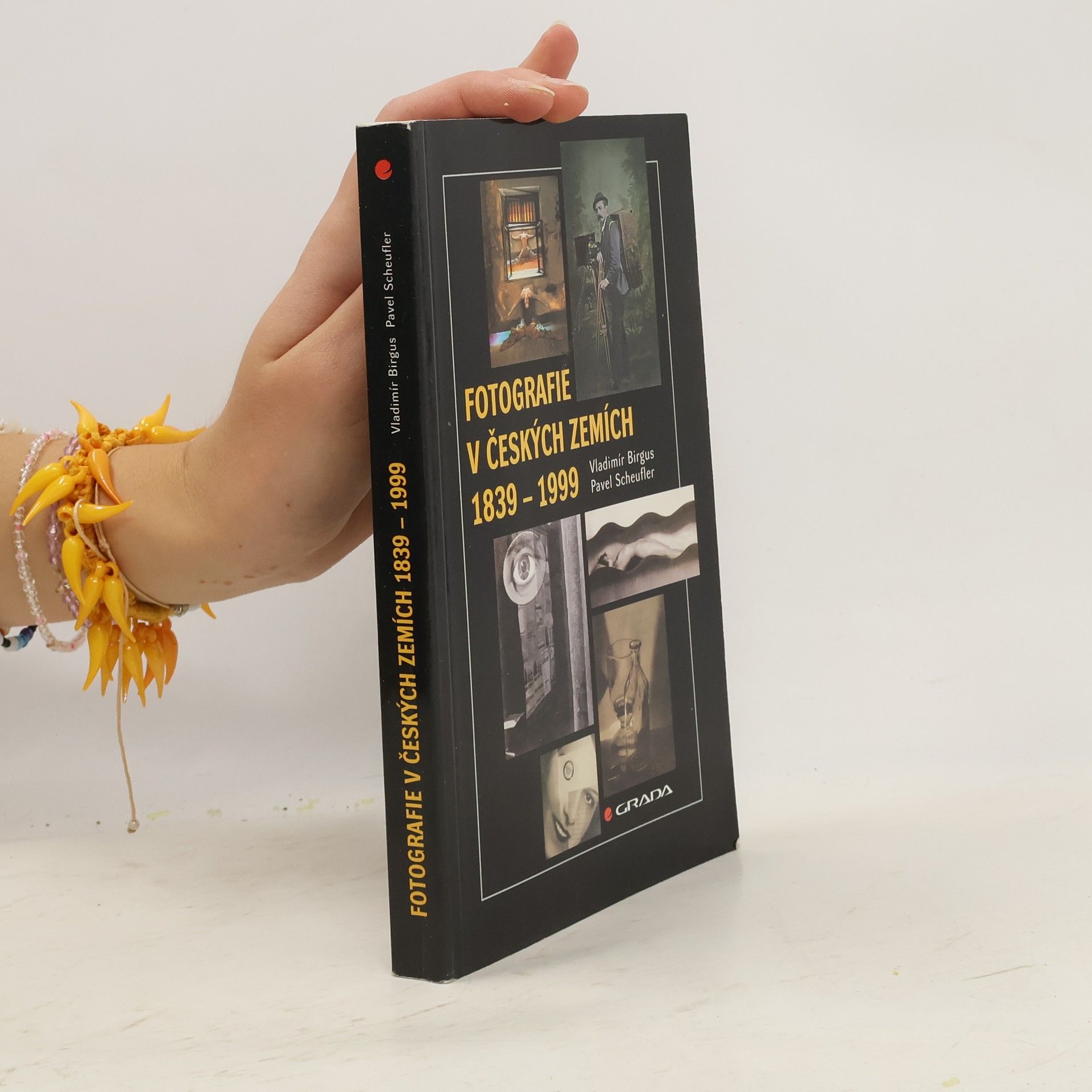 Vladimír Birgus Fotografie v českých zemích 1839-1999