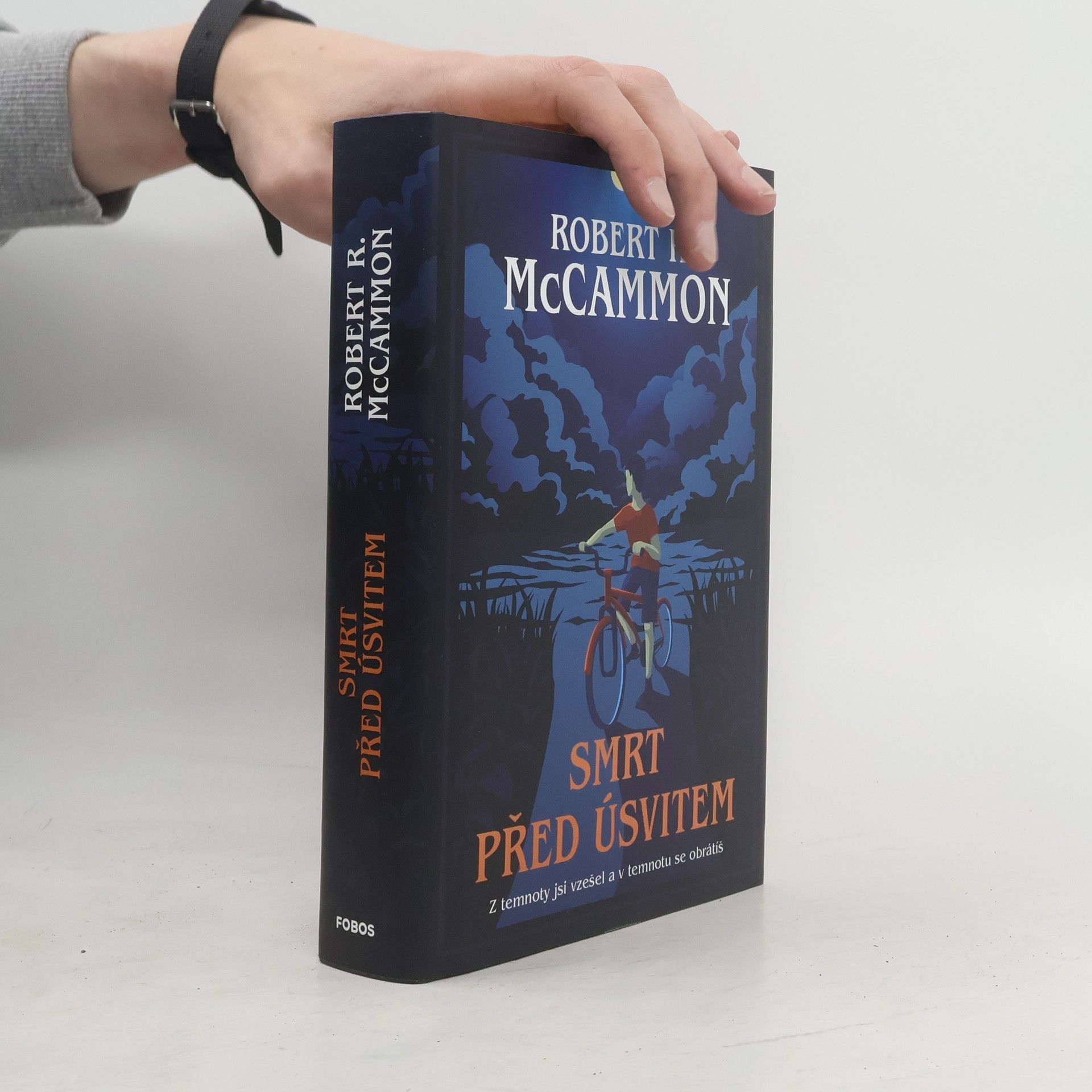 Robert R. McCammon Smrt před úsvitem