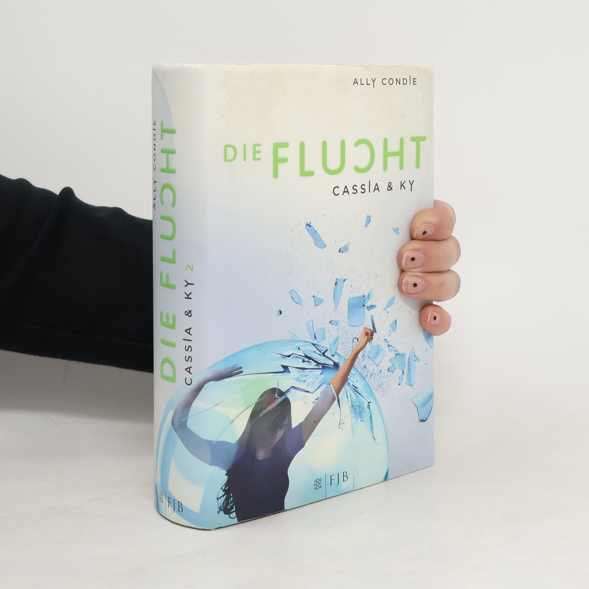 Ally Condie Die Flucht