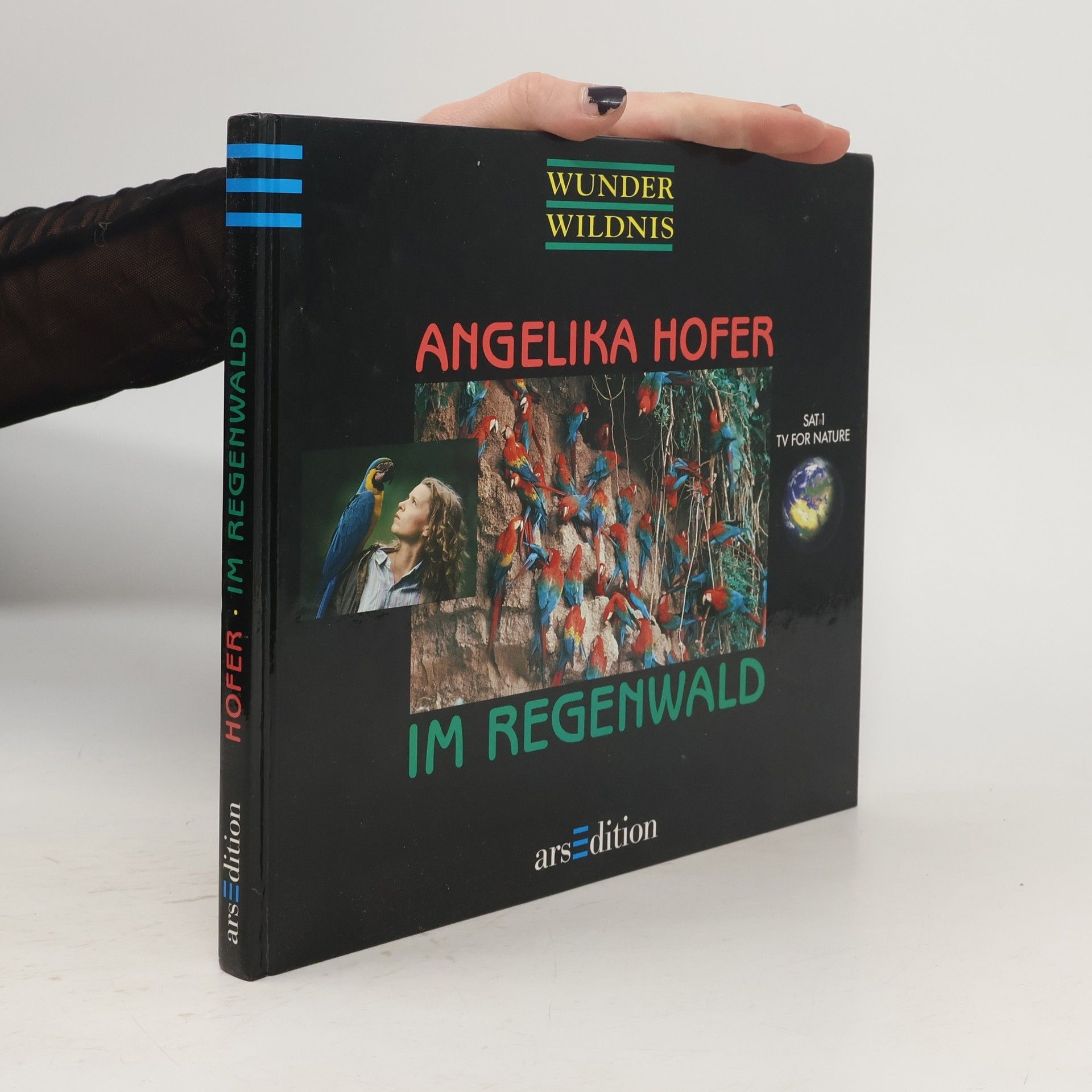 Angelika Höfer Im Regenwald