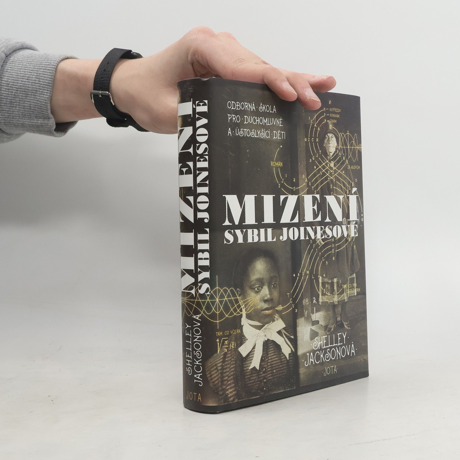 Shelley Jackson Mizení Sybil Joinesové