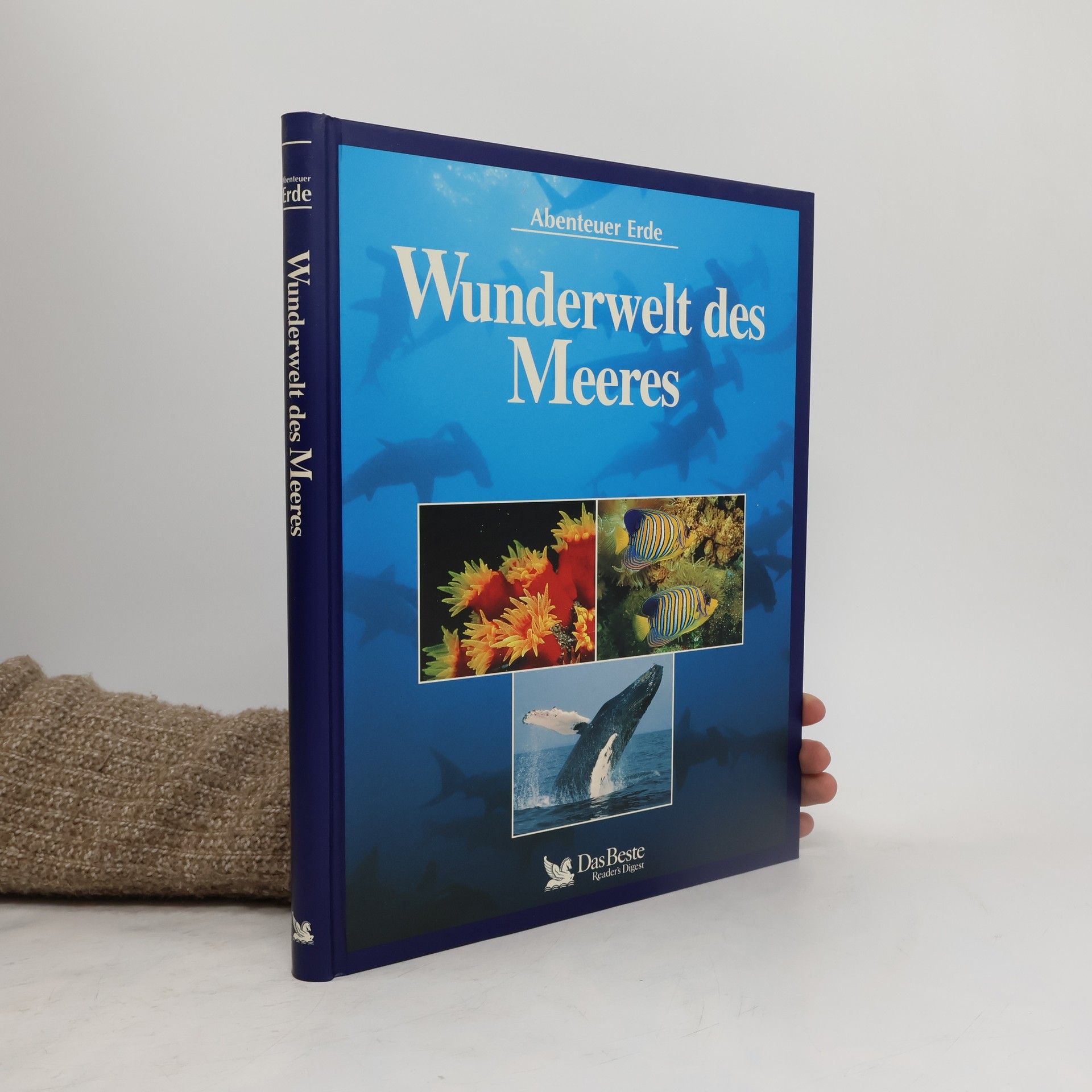 Angela Meder Wunderwelt des Meeres